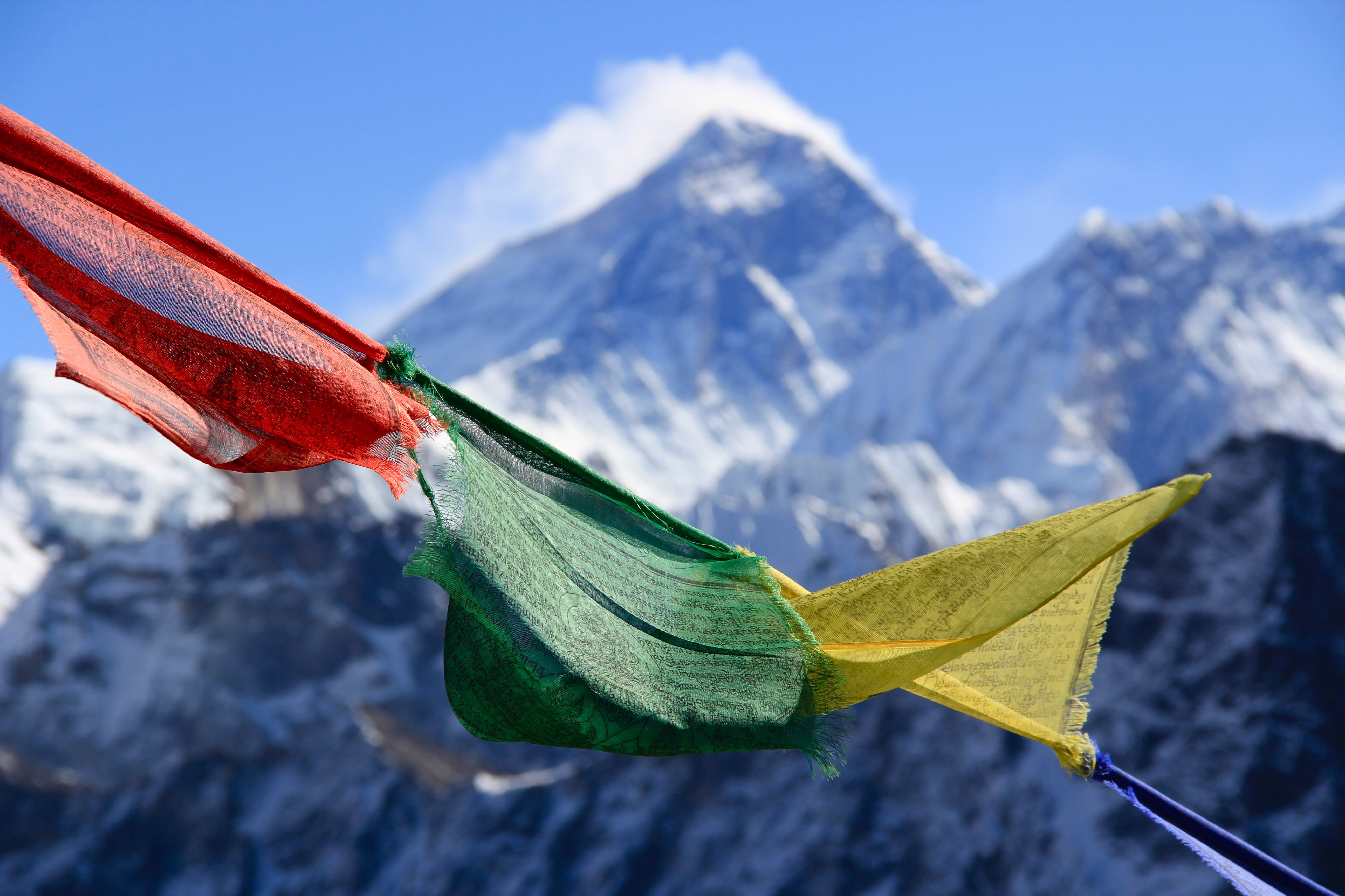 himalayas, snow, focus on foreground, leaf, Om mani padme hum, everest, blue, environment, flag, outdoors, green, beauty in nature, mountain peak, landscape, HD Wallpaper