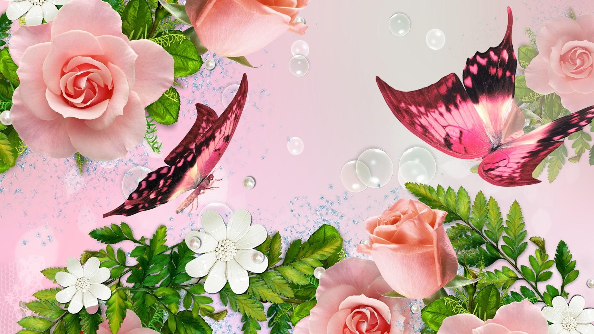 1080P, pink, butt, papillon, ferns, flowers, summer, loving, butterfly, pearls, fleurs, white, bubbles, roses, petaled, spring, flower, HD Wallpaper
