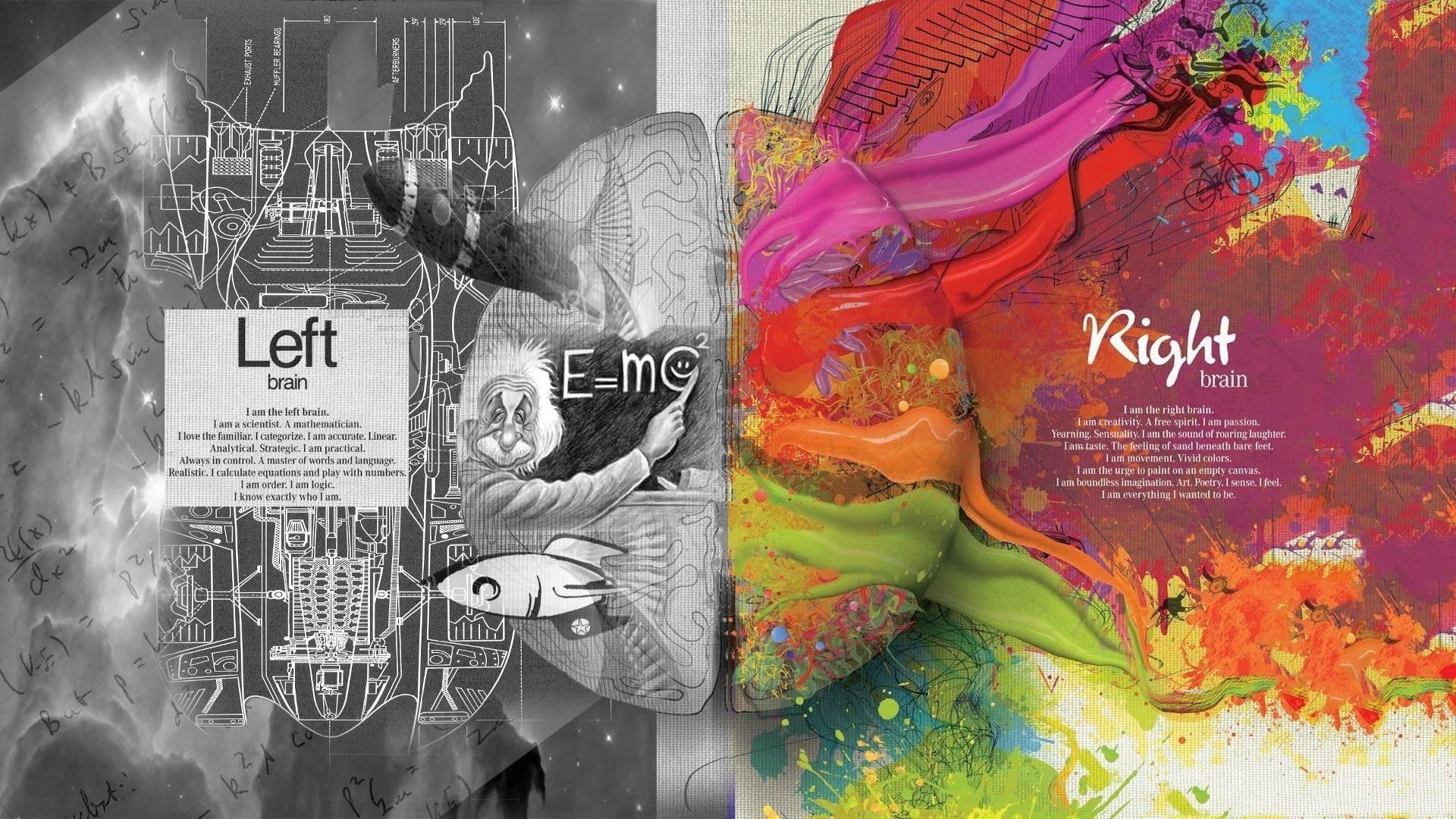RIGHT BRAIN, ART, LEFT BRAIN, MATH, LOGIC, BRAIN, 1080P, CREATIVITY, SCIENCE, PAINT, CREATIVE, HEMISPHERE, EINSTEIN, HD Wallpaper