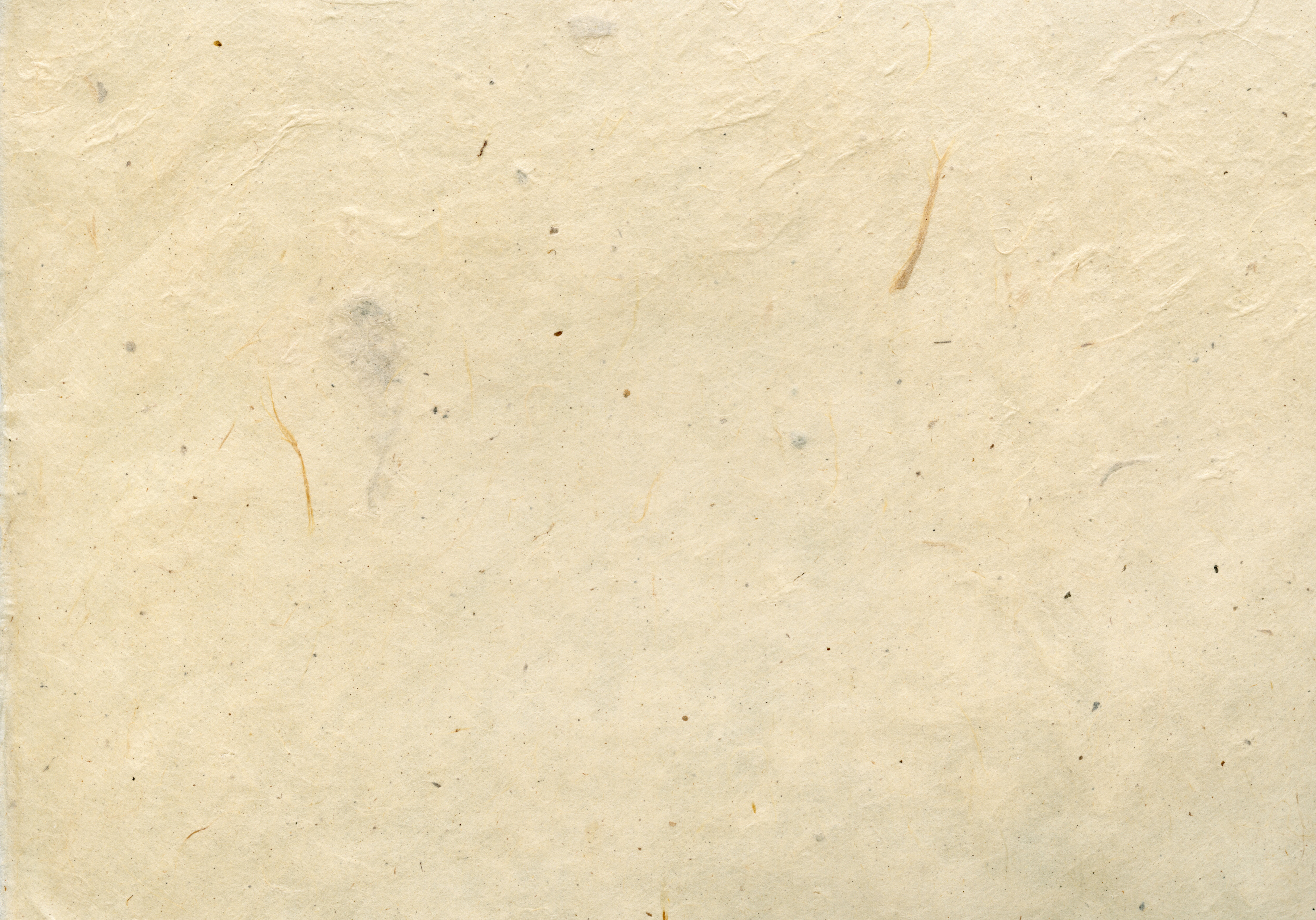 beige, arch, recycling, brown, no people, structure, full frame, close-up, blank, cardboard, backgrounds, papyrus, old paper, white color, white, background, HD Wallpaper