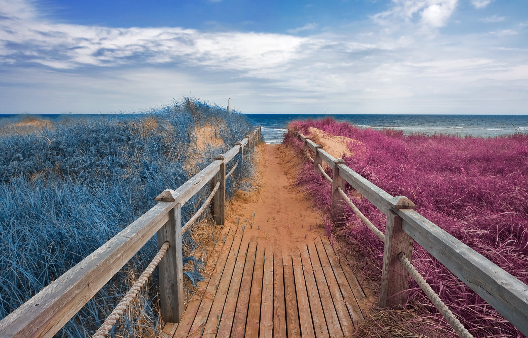 picture, colors, 720P, sea, colorful, scenic, magenta, beauty, sandy, grass, passage, colour, black, white, prince  edward  island, cloud, beautiful, blue, HD Wallpaper