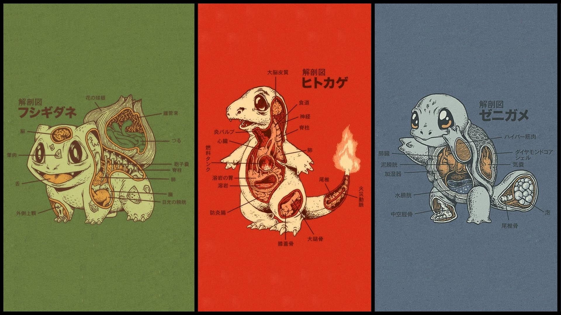 text, no people, video games, science fiction, Pokémon, craft, outdoors, cultures, history, anatomy, sketch, auto post production filter, old-fashioned, HD Wallpaper