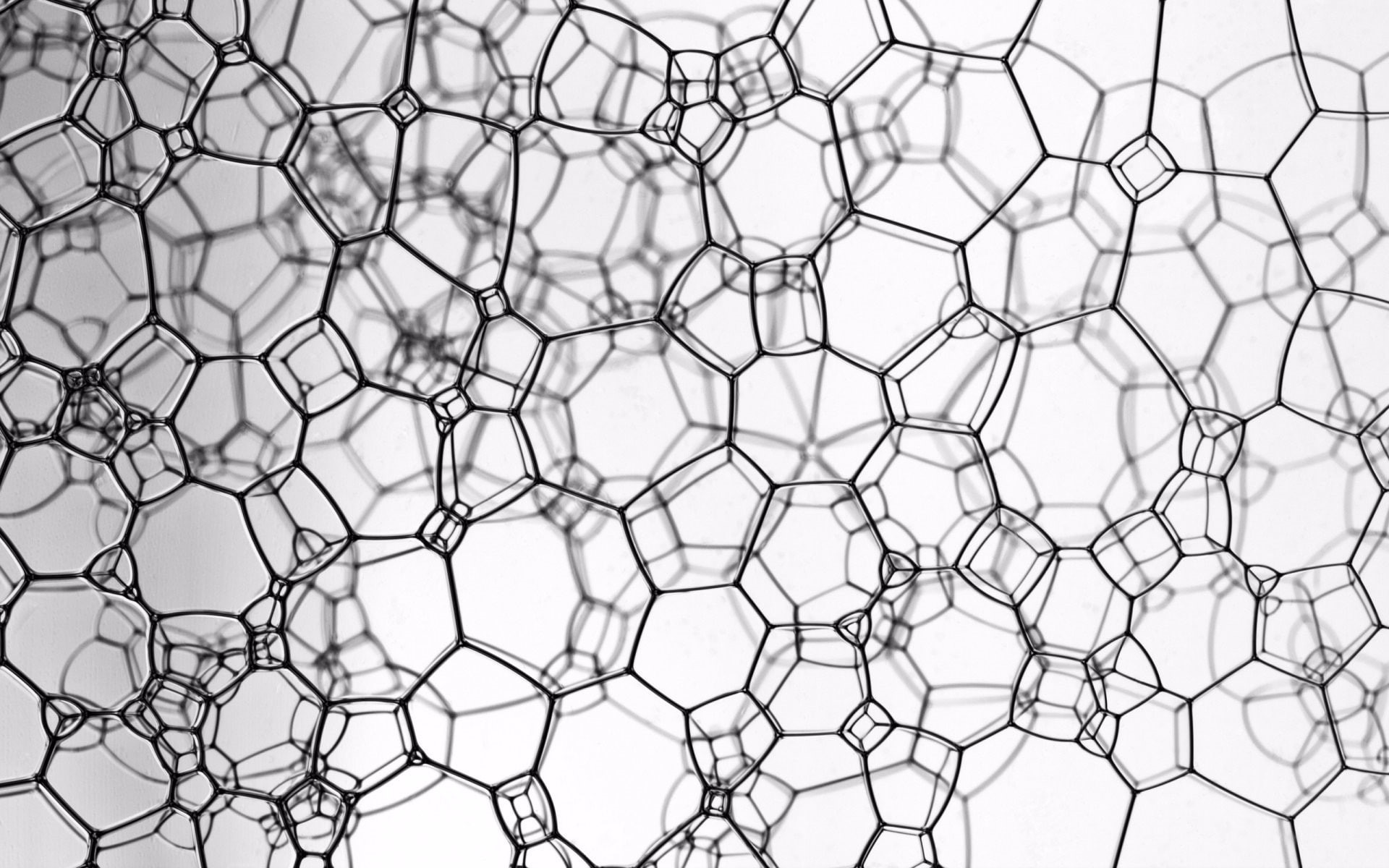 abstract, Plexus, 1080P, HD Wallpaper