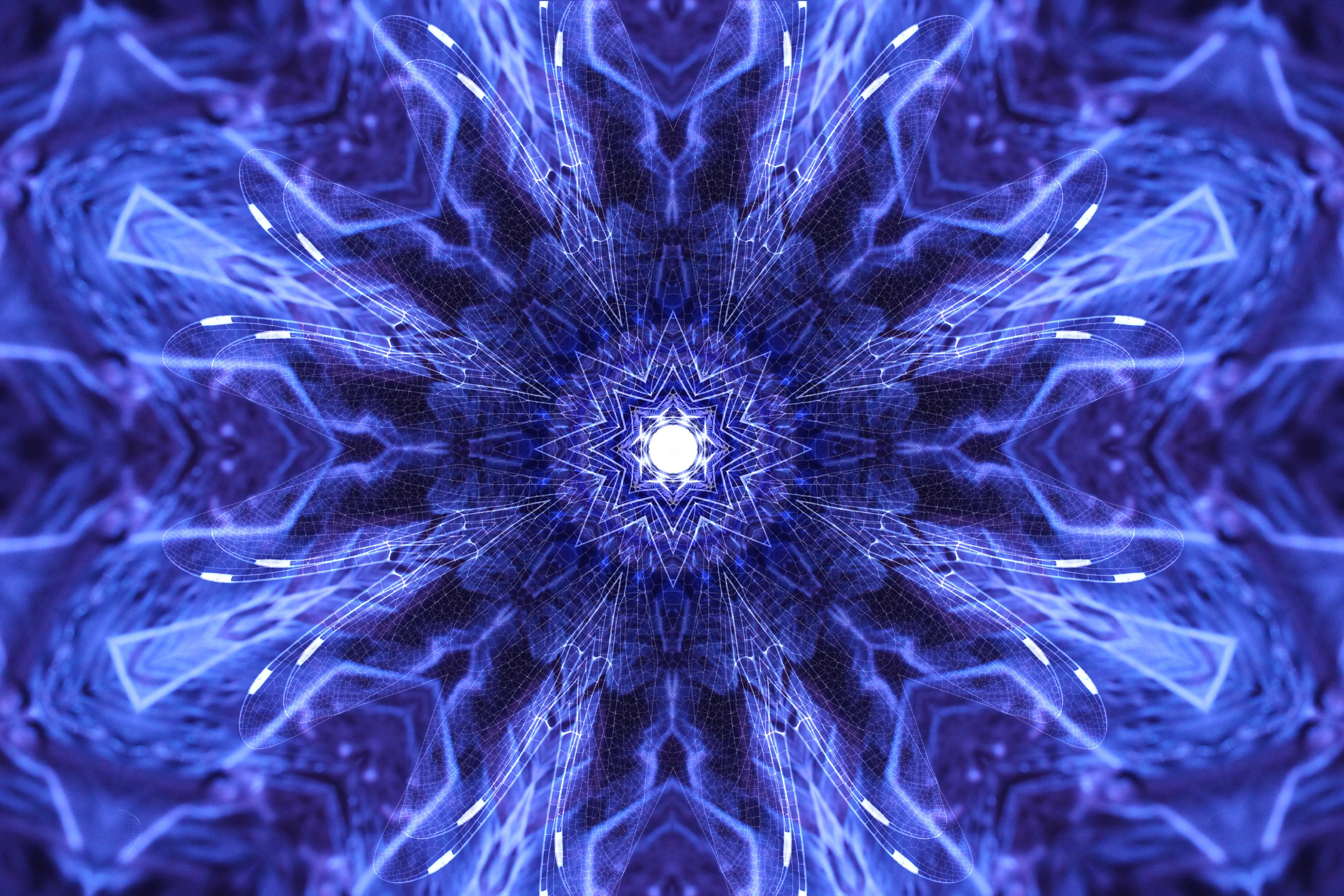 abstract, lilac, design, lighting equipment, technology, black background, directly below, blue, illuminated, digital, 5K, power supply, pattern, HD Wallpaper