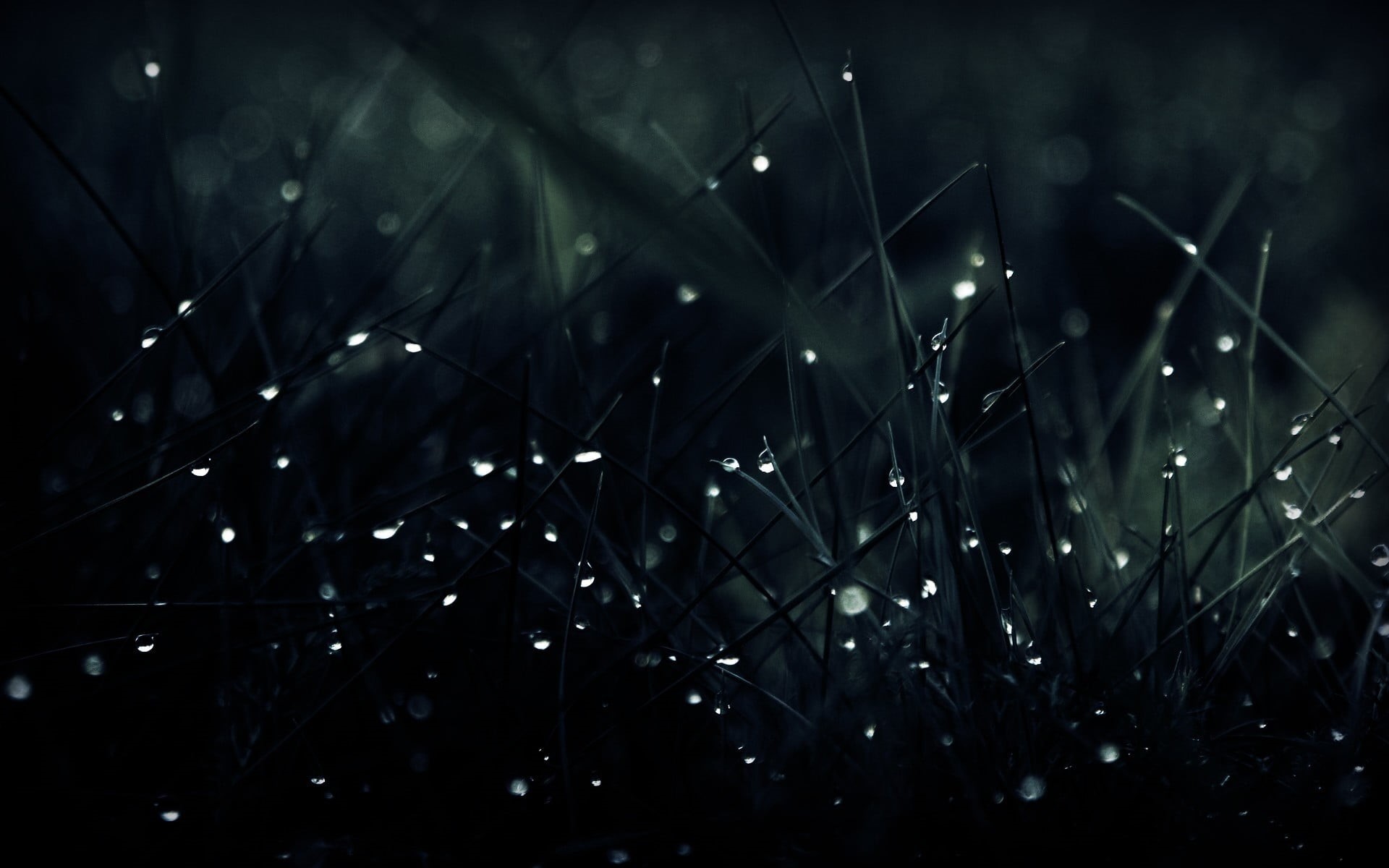 spotted, purity, green, illustration, nature, night, space, dew, pattern, futuristic, drop, backgrounds, dark, green color, shiny, black Color, abstract, HD Wallpaper