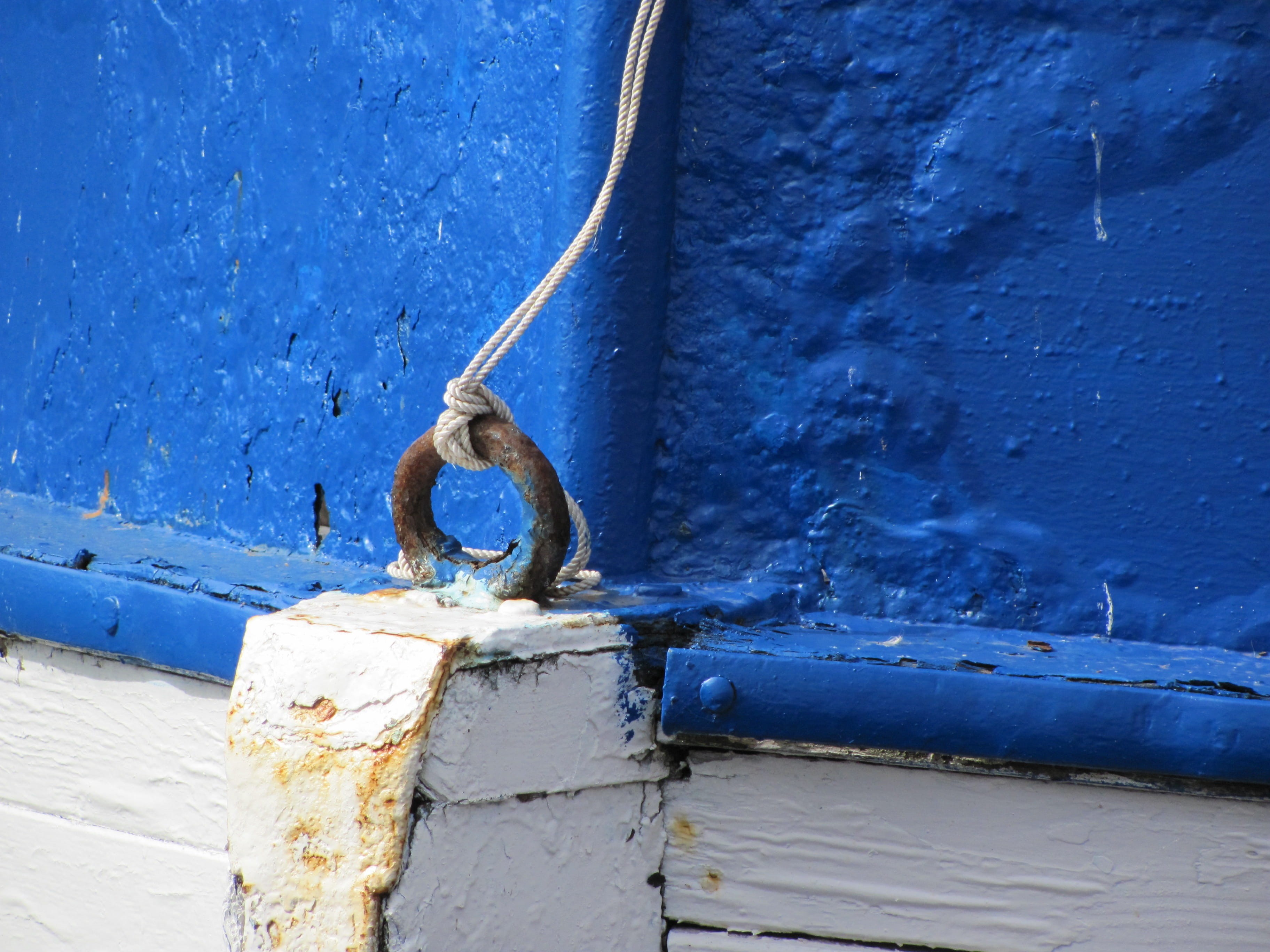 mode of transportation, metal, old, nautical vessel, pipe - tube, skill, connection, White, day, 2K, animal themes, architecture, wall, animal, no people, HD Wallpaper