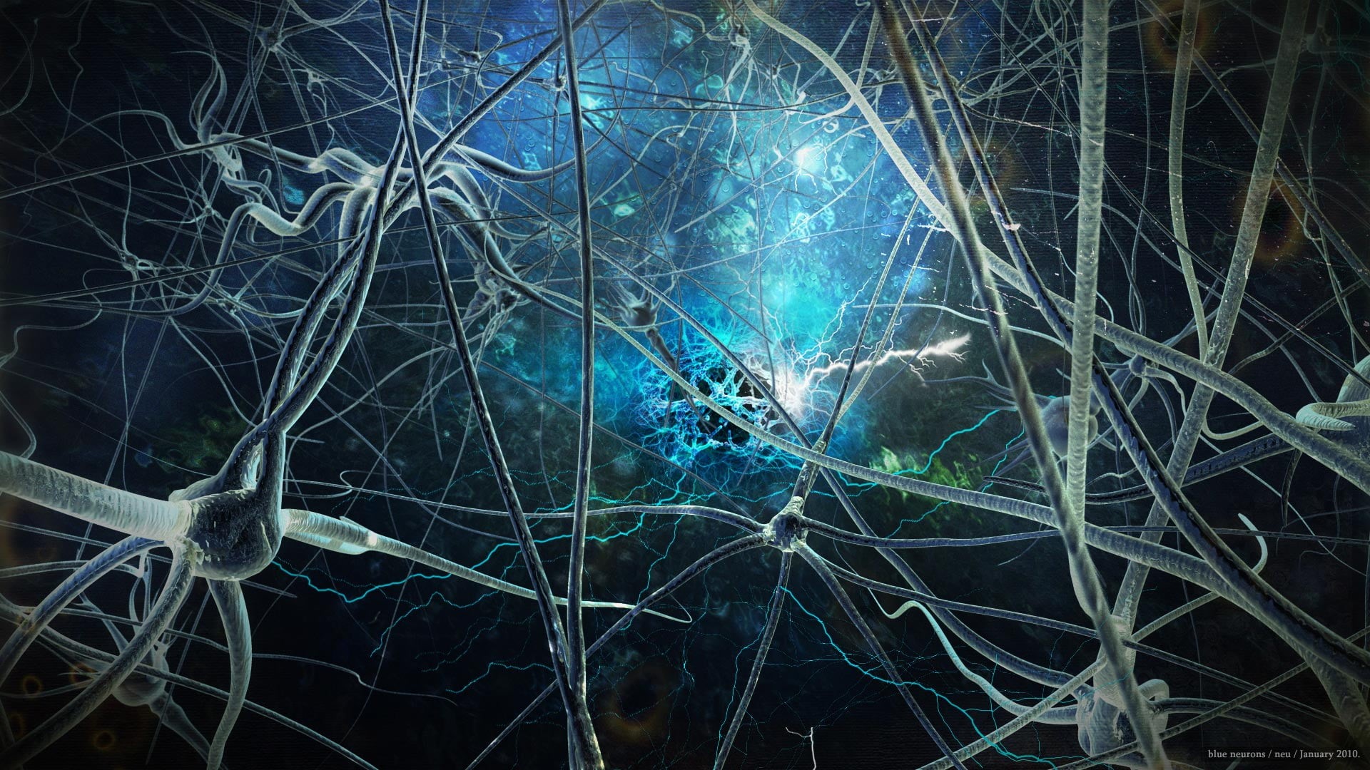 full frame, design, futuristic, technology, texture, bare tree, fractal, pattern, shape, generated, complexity, science, night, digital, tangled, HD Wallpaper
