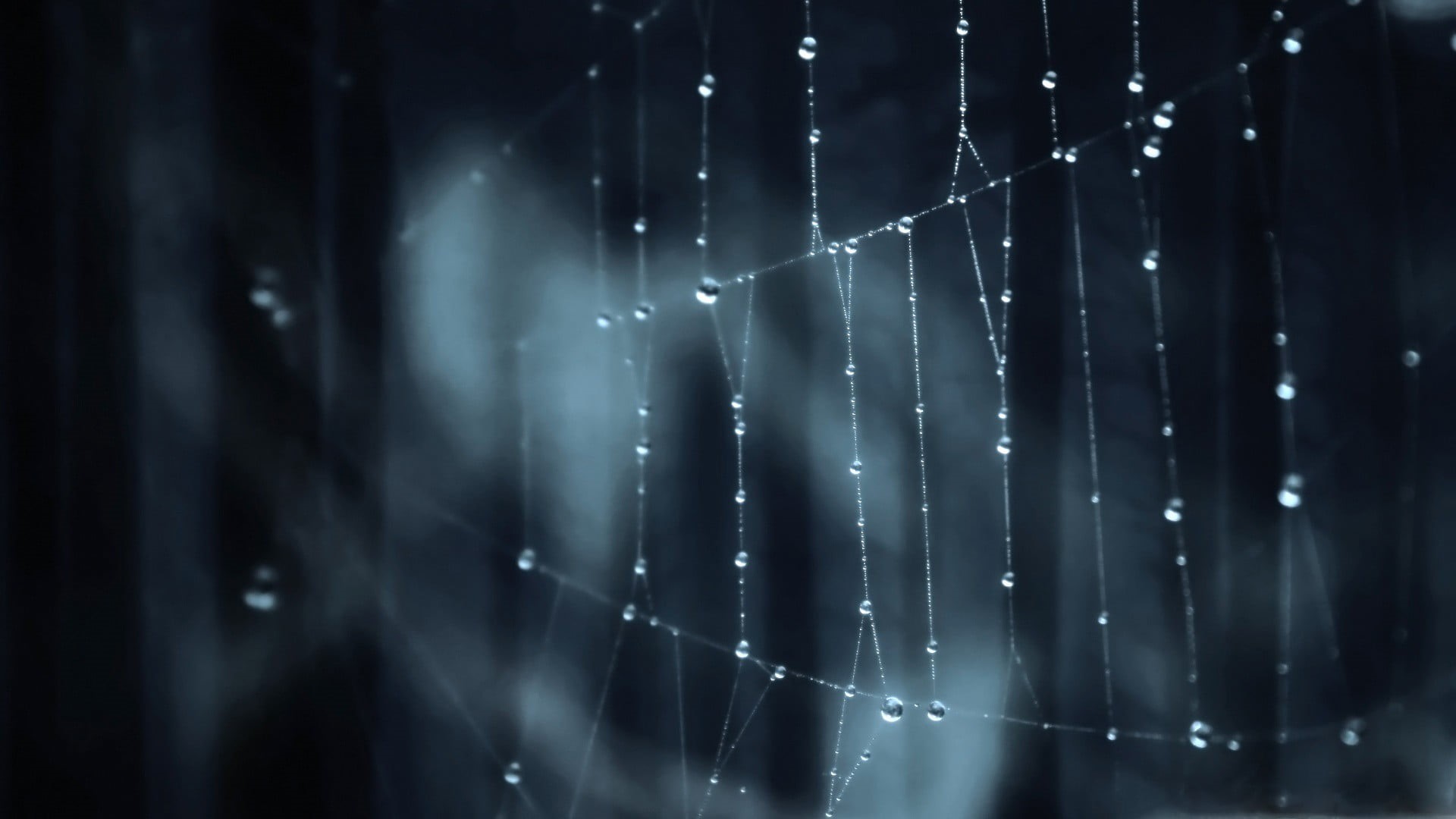 dew, backgrounds, selective focus, web, spider, complexity, drop, pattern, beauty in nature, selective, wet, light - Natural Phenomenon, focus on foreground, HD Wallpaper