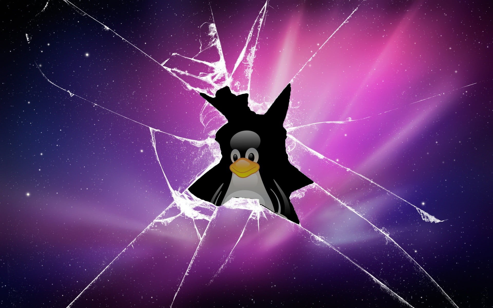 close-up, animal, one animal, purple, 1080P, digital composite, computer, low angle view, Tux, colored background, animal wildlife, spider web, nature, HD Wallpaper