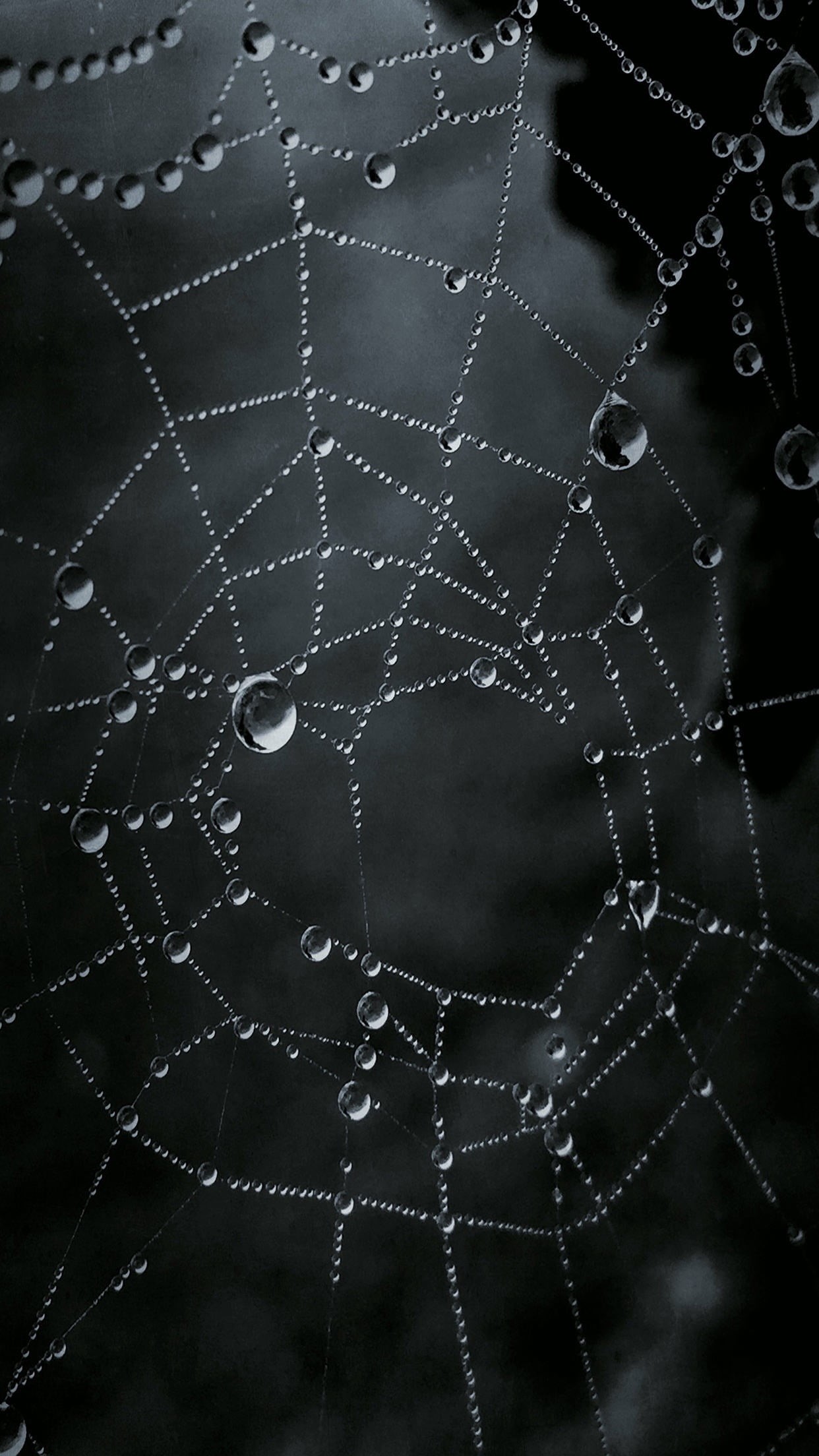 nature, complexity, landscape, drop, vulnerability, focus on foreground, concentric, fragility, natural pattern, close-up, rain, beauty in nature, outdoors, Phone HD Wallpaper