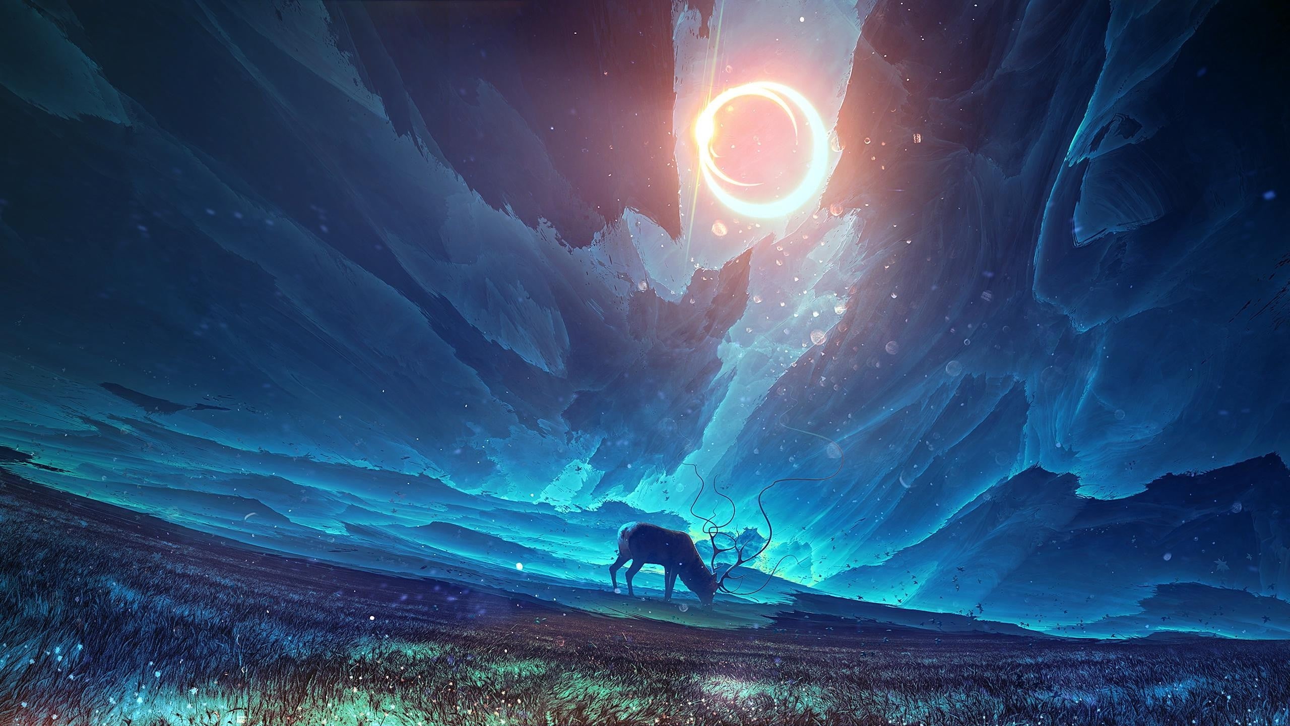 backgrounds, galaxy, sunrise - Dawn, tranquility, beauty In Nature, sun, adventure, digital art, deer, scenics - nature, adult, rock - Object, sunlight, HD Wallpaper