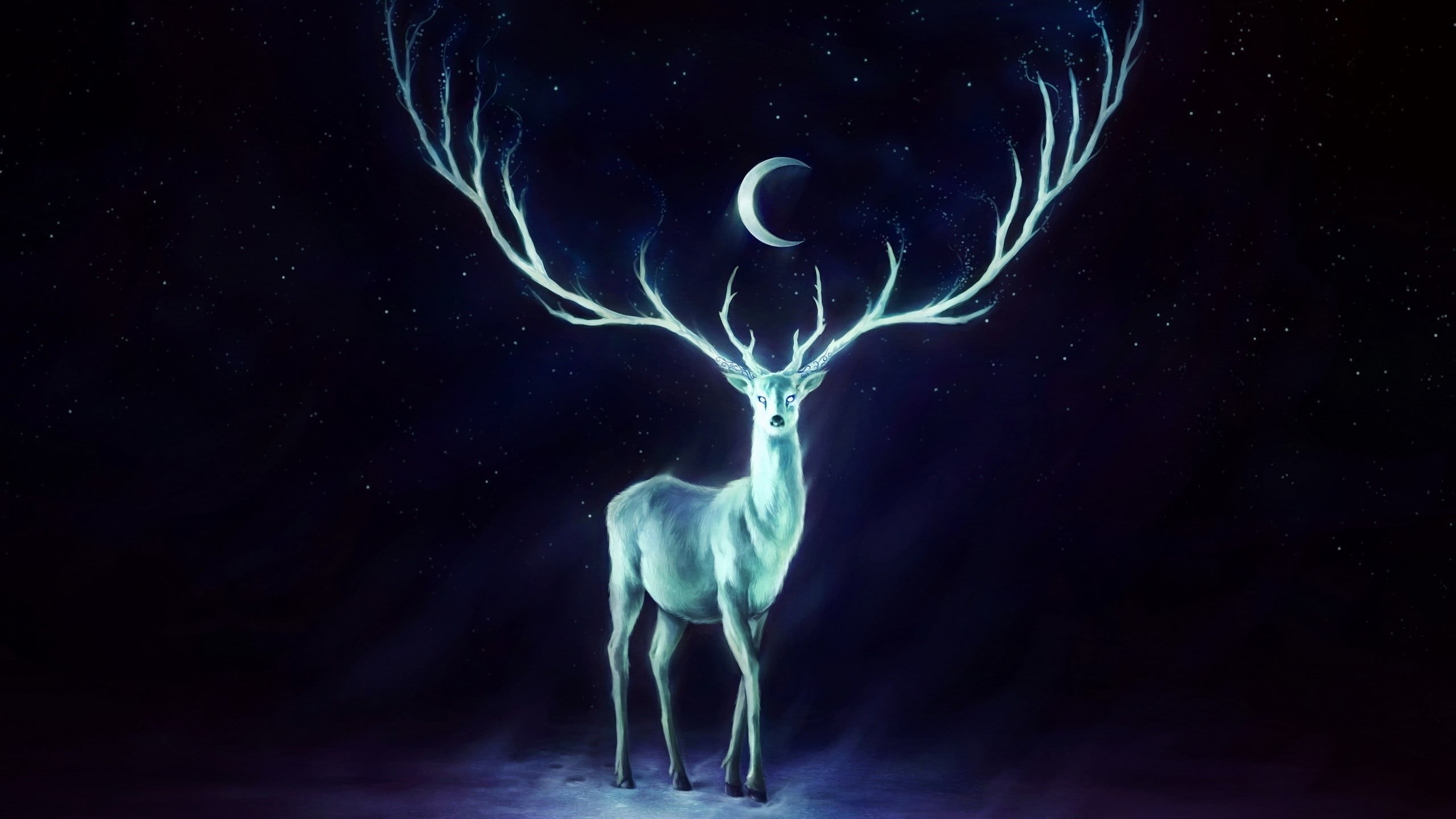 sky, science, animals in the wild, blue, artwork, stags, animals, antlers, cyan, dark, crescent moon, motion, full length, animal wildlife, fantasy art, HD Wallpaper