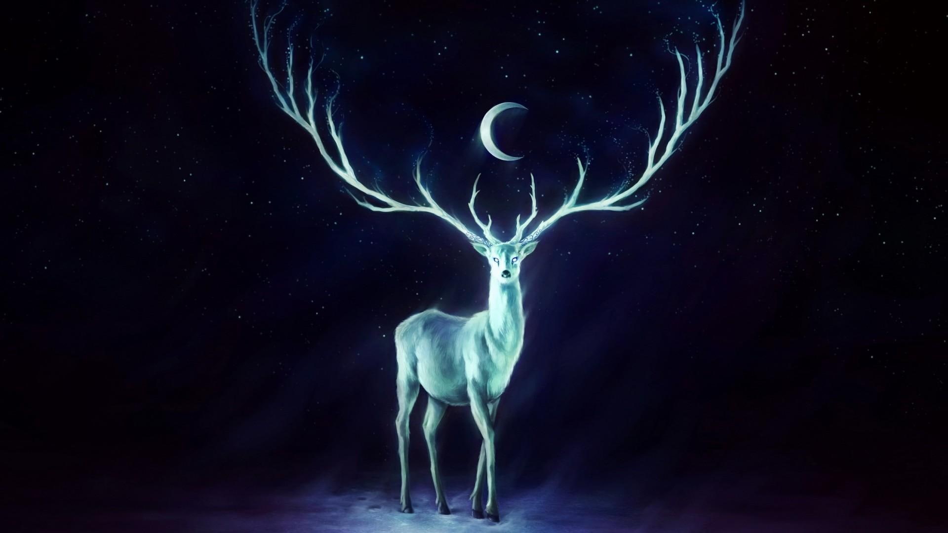 moonlight, antlers, deer, stag, creature, fantasy, animal, stars, 1080P, 3d and abstract, HD Wallpaper