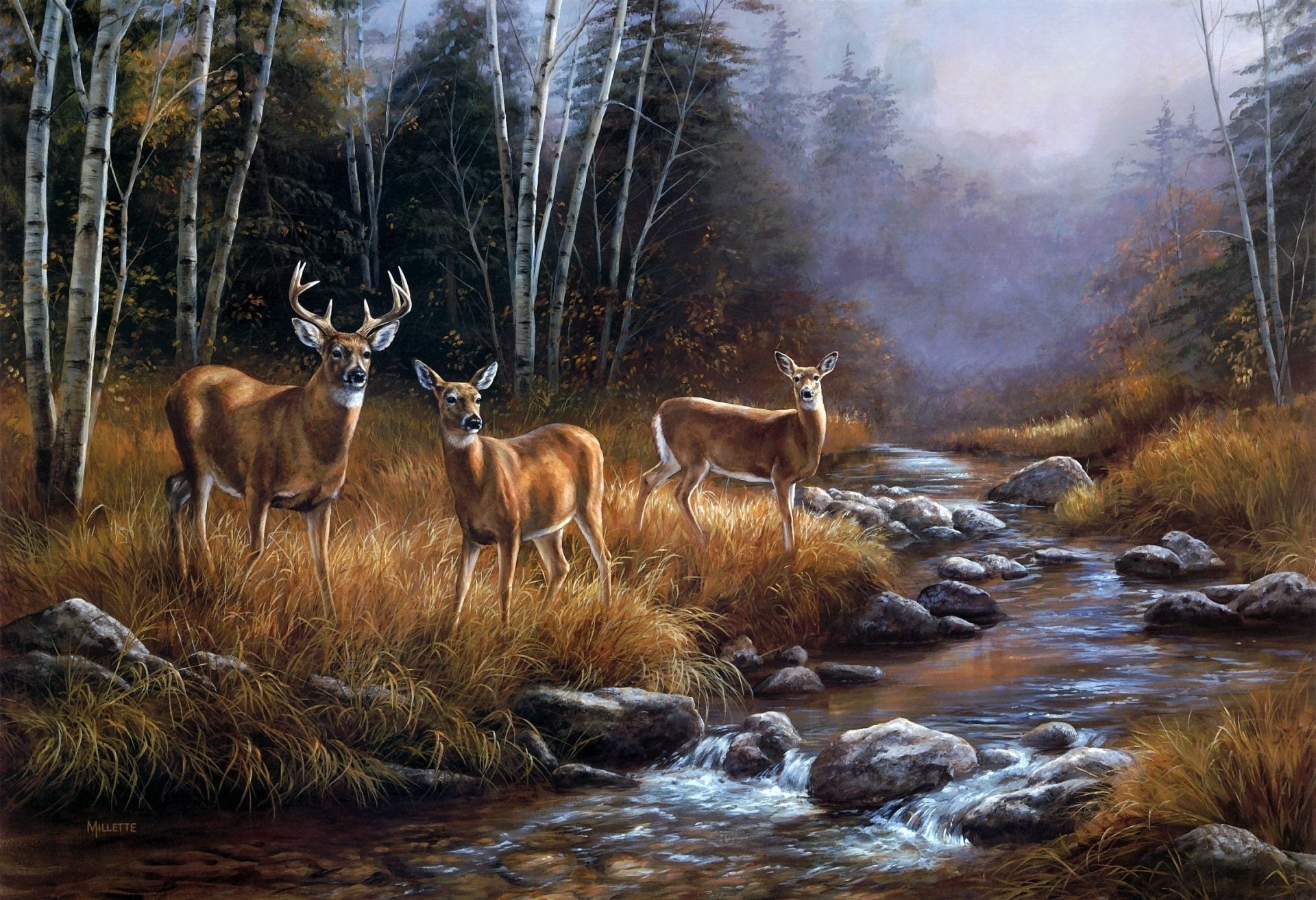 Stream, Stag, Deer, Animal, Wildlife, Fall, 1080P, HD Wallpaper