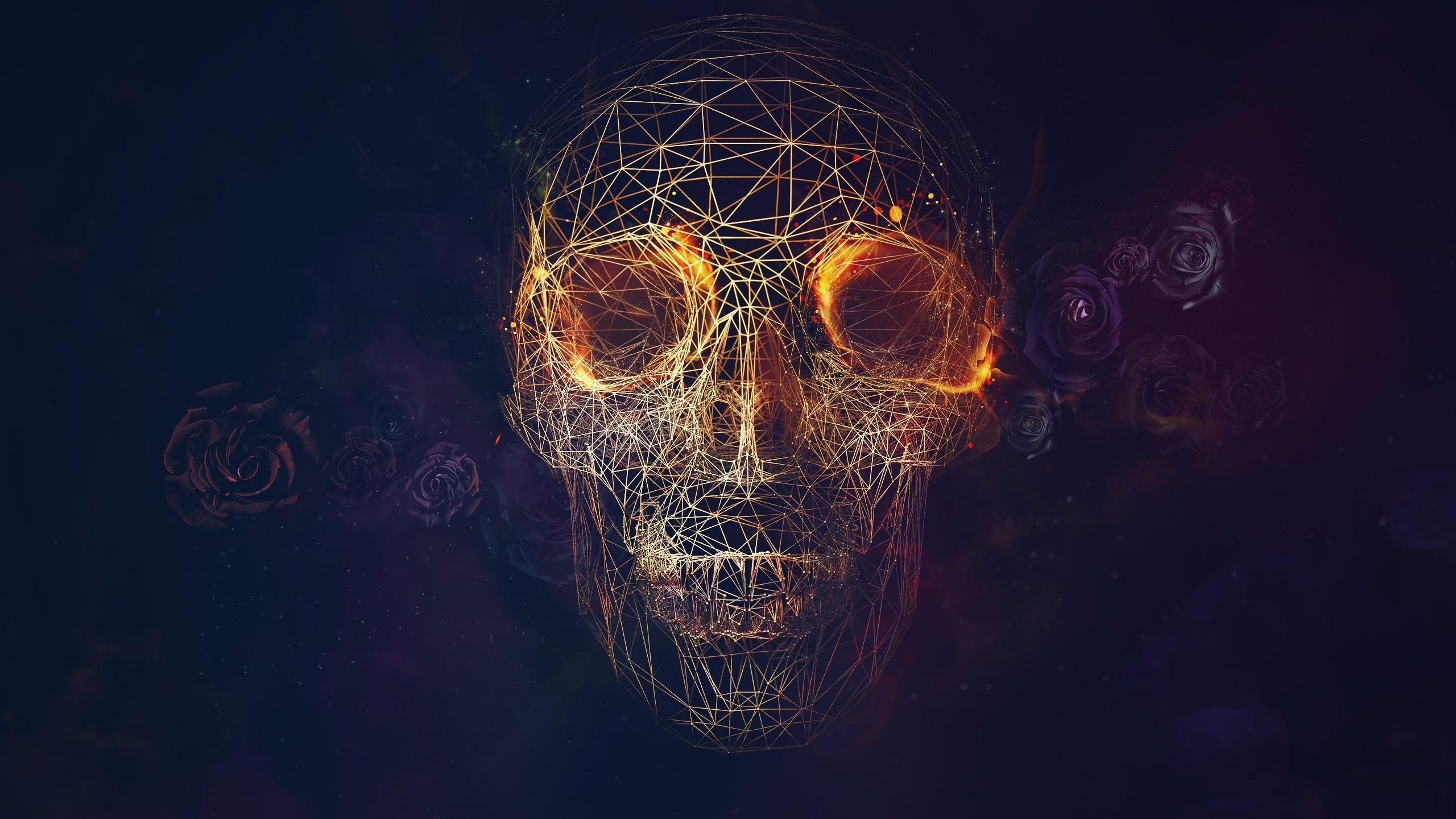 wireframe, motion, 2K, rose, skull, light, digital art, nature, black, night, indoors, abstract, art and craft, lighting equipment, no people, illuminated, HD Wallpaper
