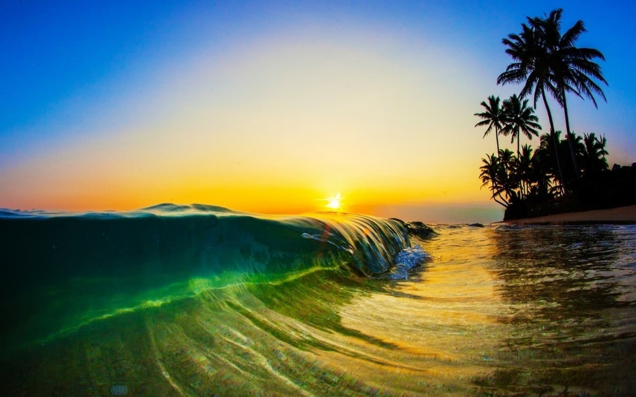 orange color, land, coconut palm tree, beauty in nature, sea, clear sky, 720P, tropical climate, waves, sand, palm tree, tranquil scene, plant, no people, HD Wallpaper