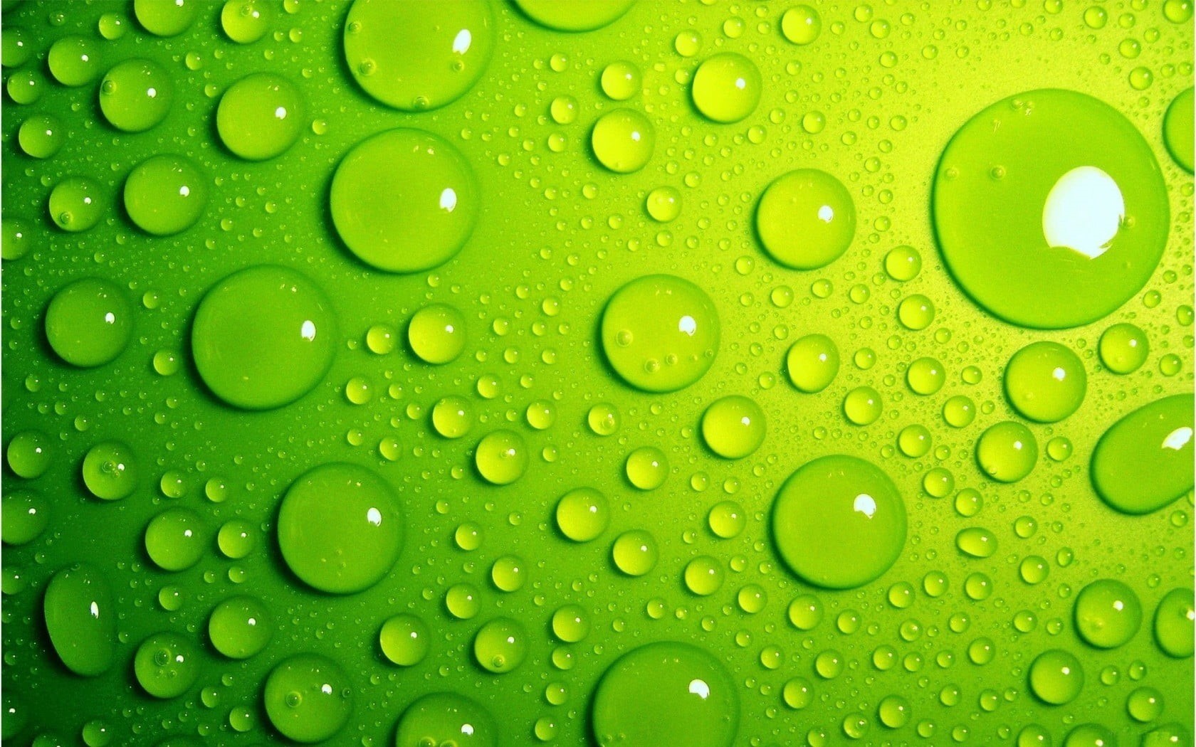full frame, drops, 720P, abstract backgrounds, bubble, close-up, complexity, repetition, no people, textured effect, drop, indoors, backgrounds, water, HD Wallpaper