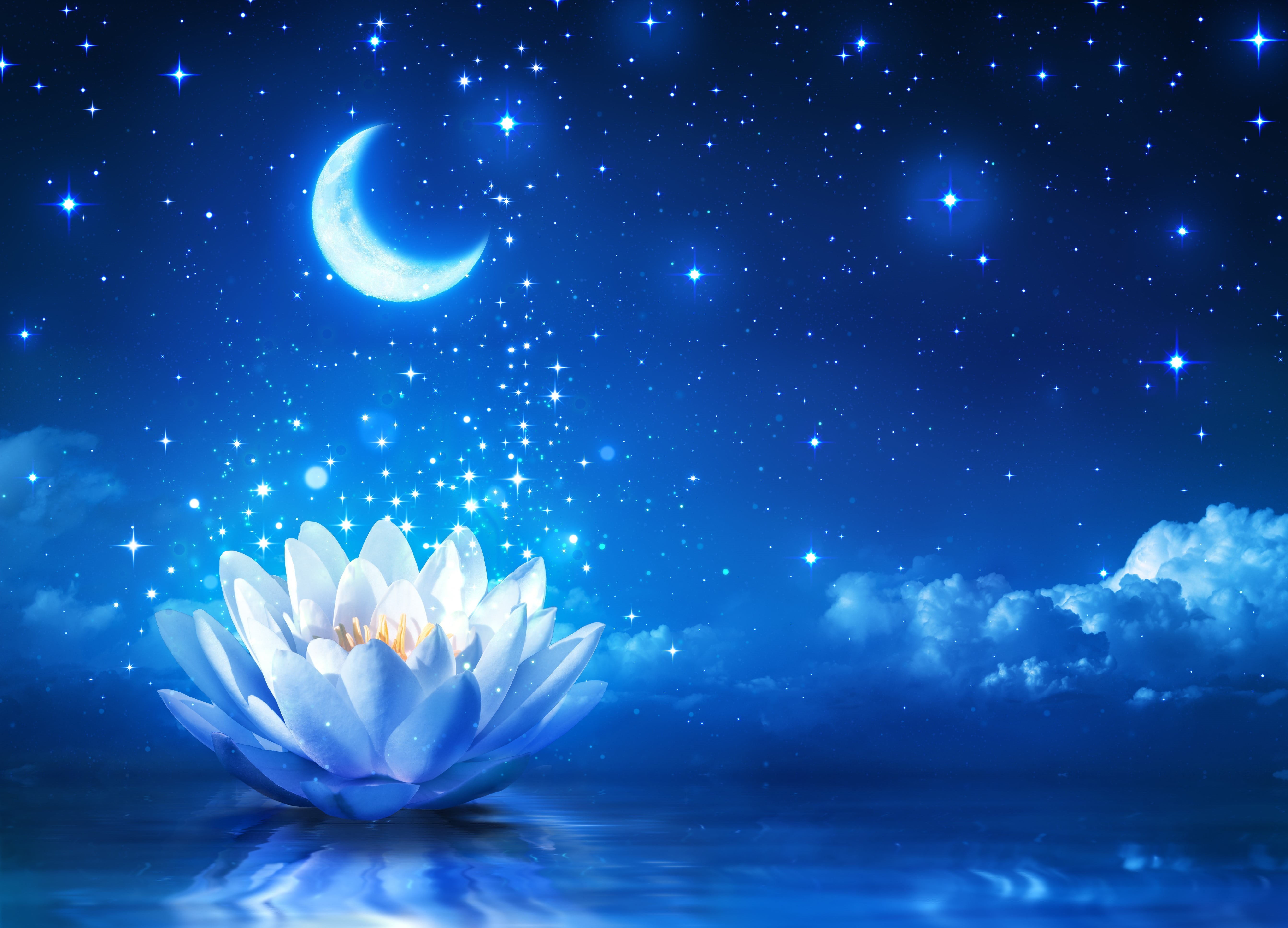 no people, 5K, blue, flower, lotus, digital composite, fragility, cloud - sky, stars, night, flower head, outdoors, vulnerability, star - space, plant, HD Wallpaper