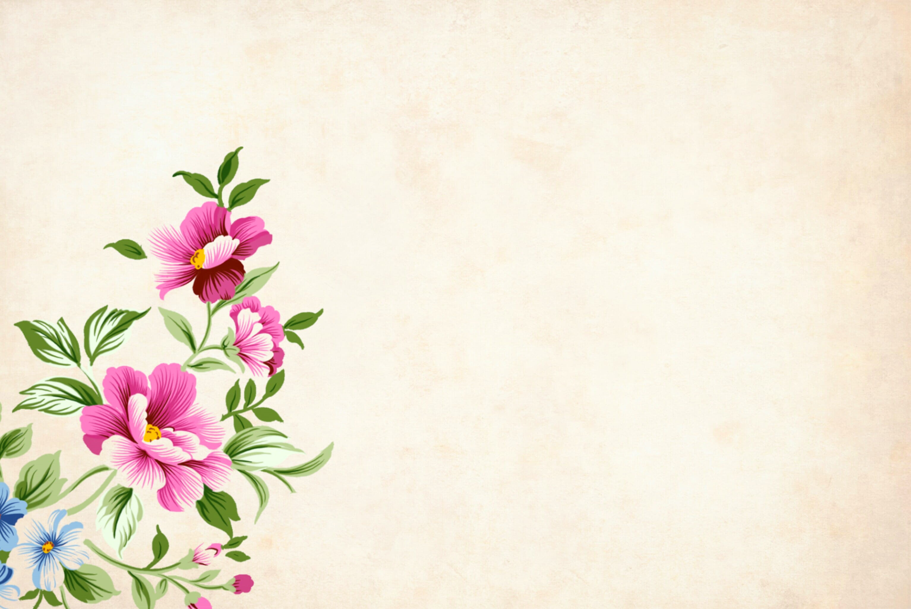 plant, border, petal, flower arrangement, painting, flowers, sketch, freshness, fashion, card, indoors, wall - building feature, copy space, flower head, HD Wallpaper