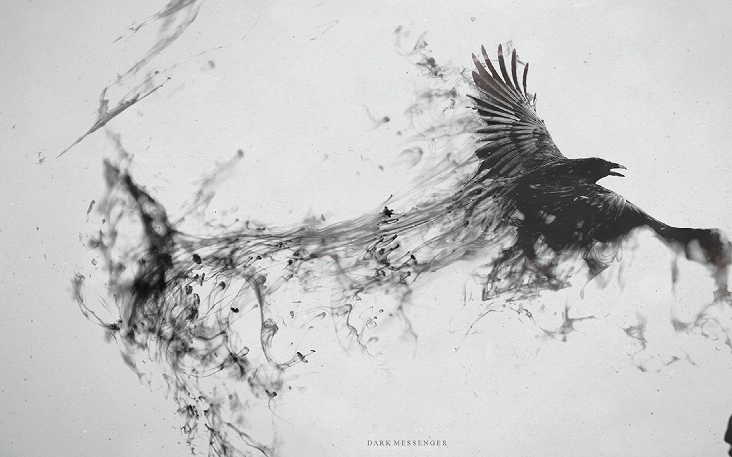 nature, animal, photo manipulation, water, no people, outdoors, eagle, vertebrate, digital art, black, swimming, birds, animal wildlife, monochrome, sketch, HD Wallpaper