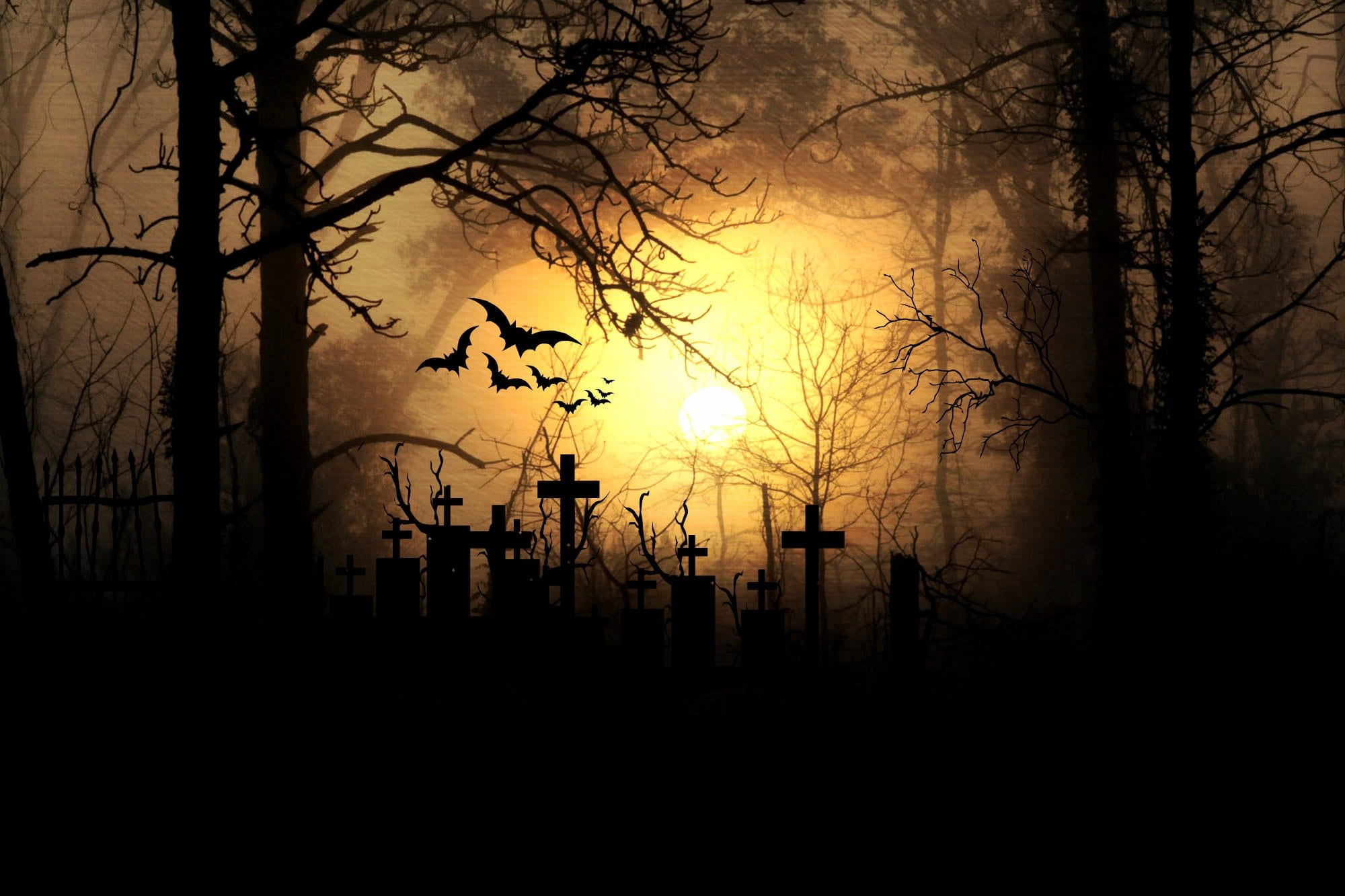 darkness, branch, no people, built structure, spooky, trunk, architecture, gespenstig, lichstimmung, mood, weird, tranquil scene, horror, atmosphere, textured effect, HD Wallpaper