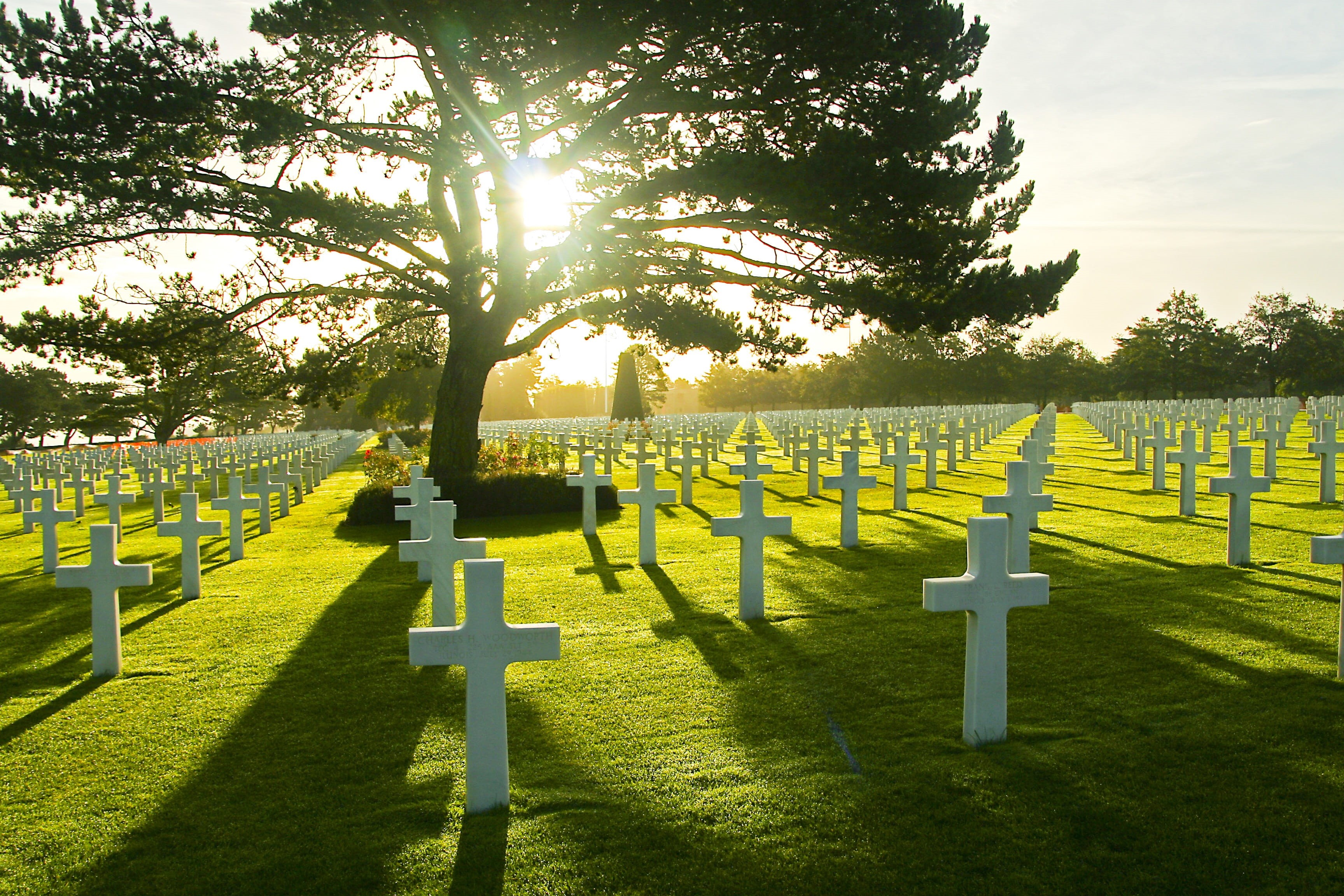 mourning, memorial, sunny, Military Cemetery, tree, grass, Omaha Beach, sky, no people, in a row, 2K, outdoors, crosses, lens flare, cemetery, stone, plant, HD Wallpaper