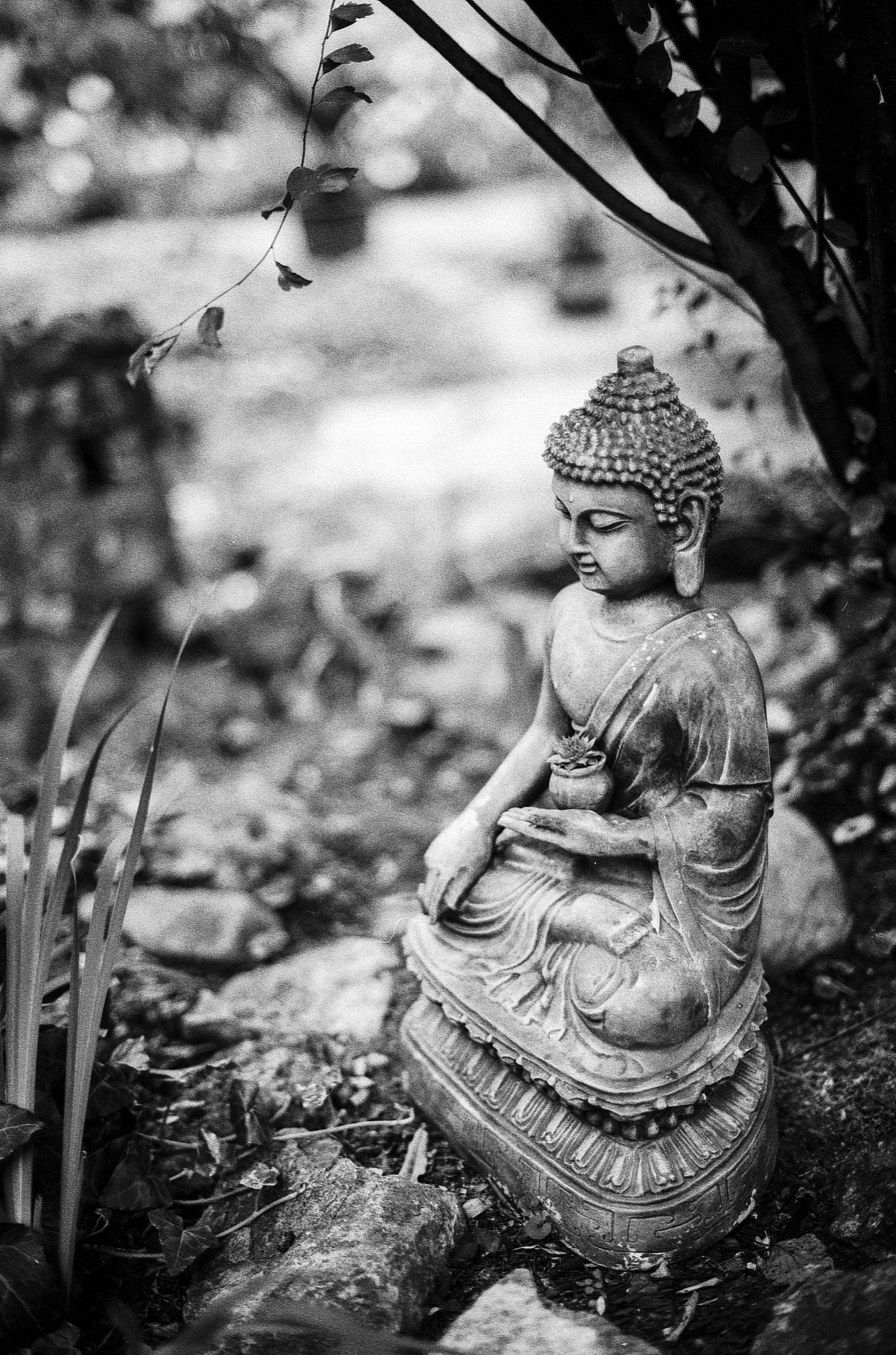 nature, meditation, craft, 2K, worship, culture, asia, religion, buddha, creativity, sculpture, gautama, pray, plant, heritage, clothing, spirituality, Phone HD Wallpaper