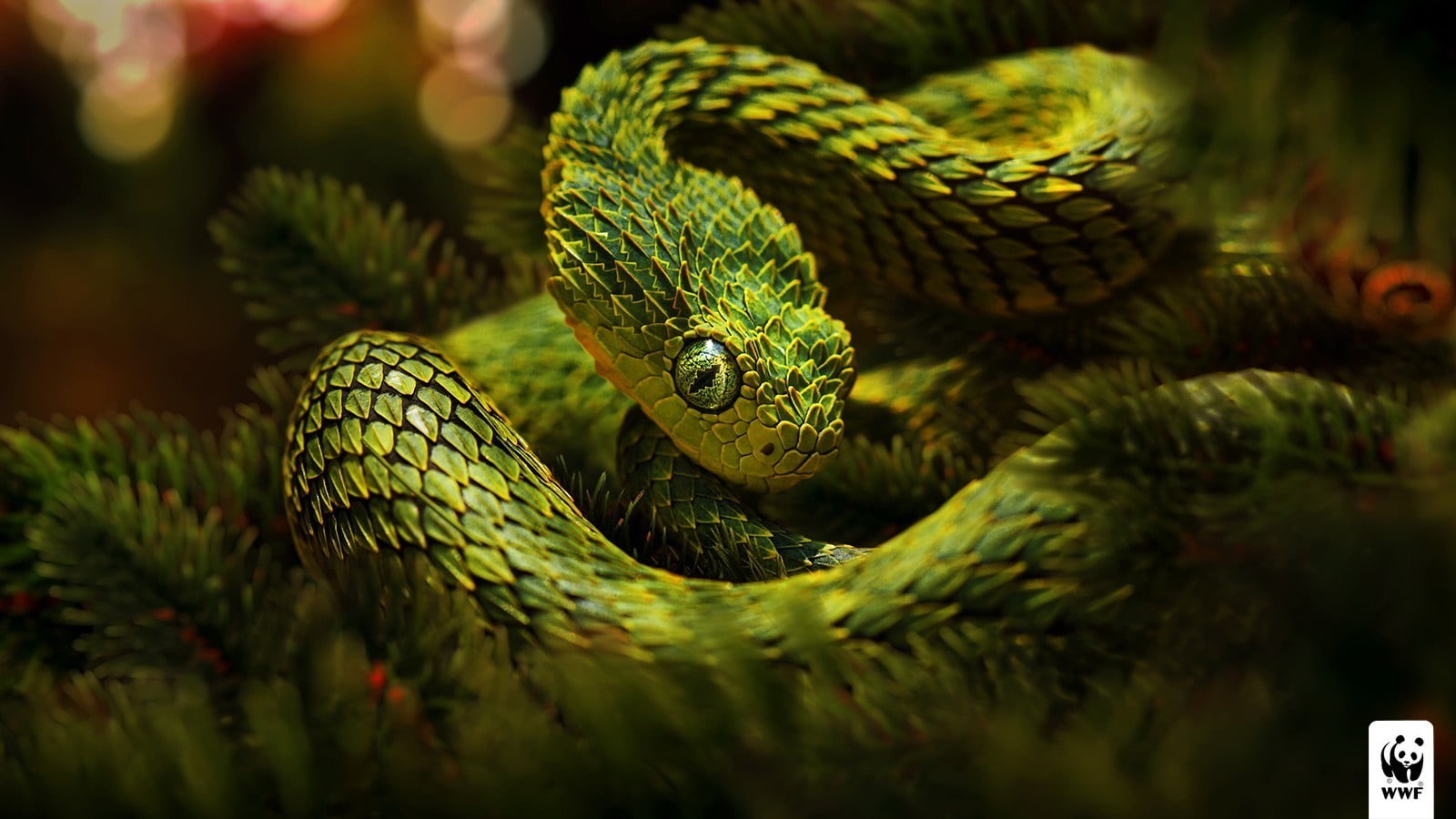 vipers, 720P, natural pattern, viper, no people, animal, advertisements, animals in the wild, photography, selective focus, snake, green color, sign, day, HD Wallpaper
