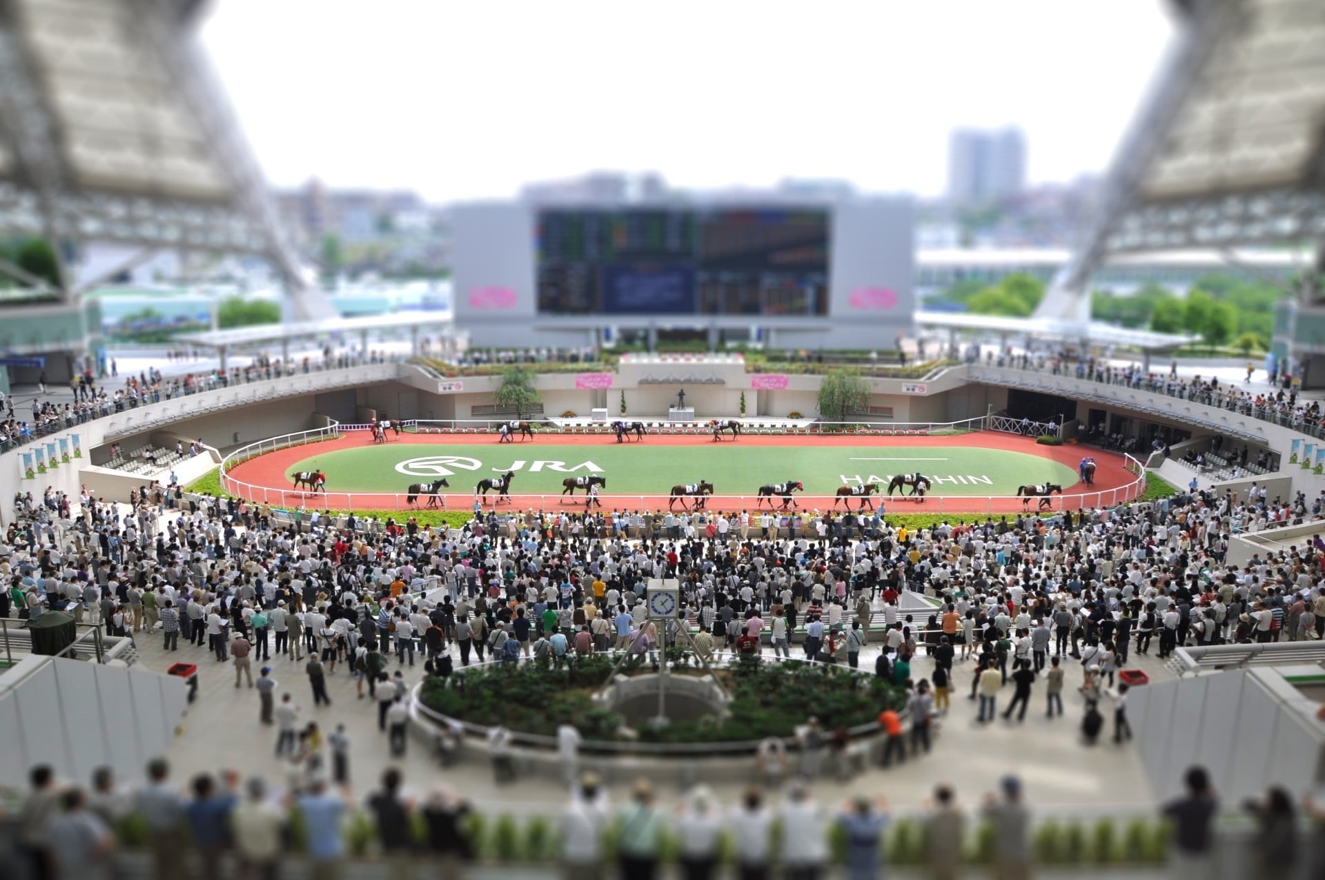 togetherness, shift, horse Racing, field, focus, photography, stadium, crowd, real people, people, spectator, standing, city life, travel destinations, HD Wallpaper