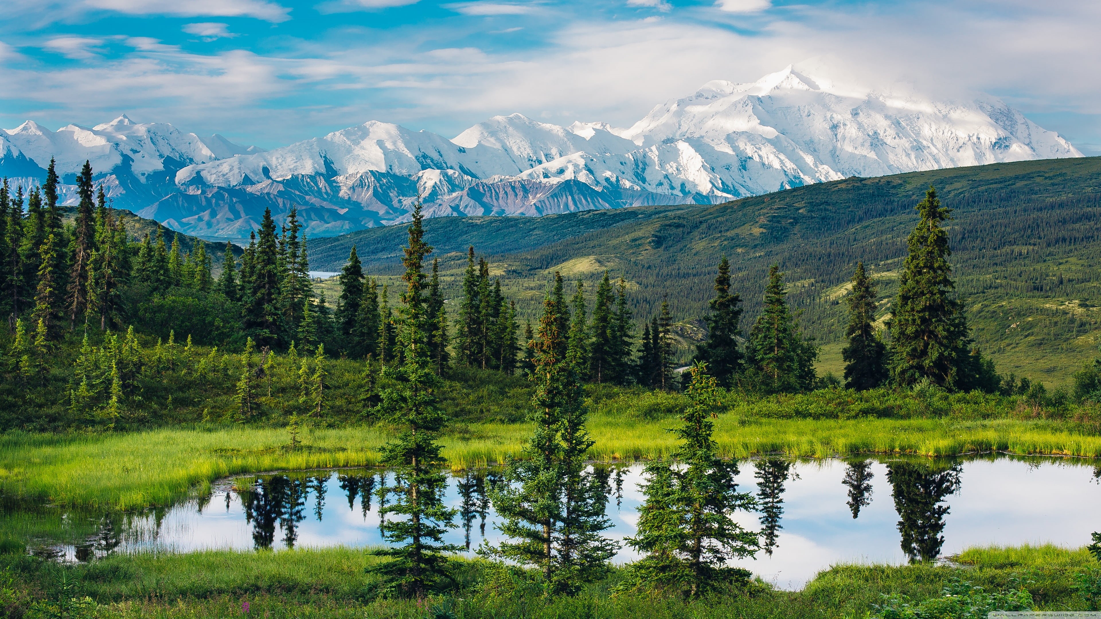 green, trees, non-urban scene, snowcapped mountain, tree, mountain range, pine, nature, growth, daylight, idyllic, beauty in nature, sky, water, scenics - nature, HD Wallpaper