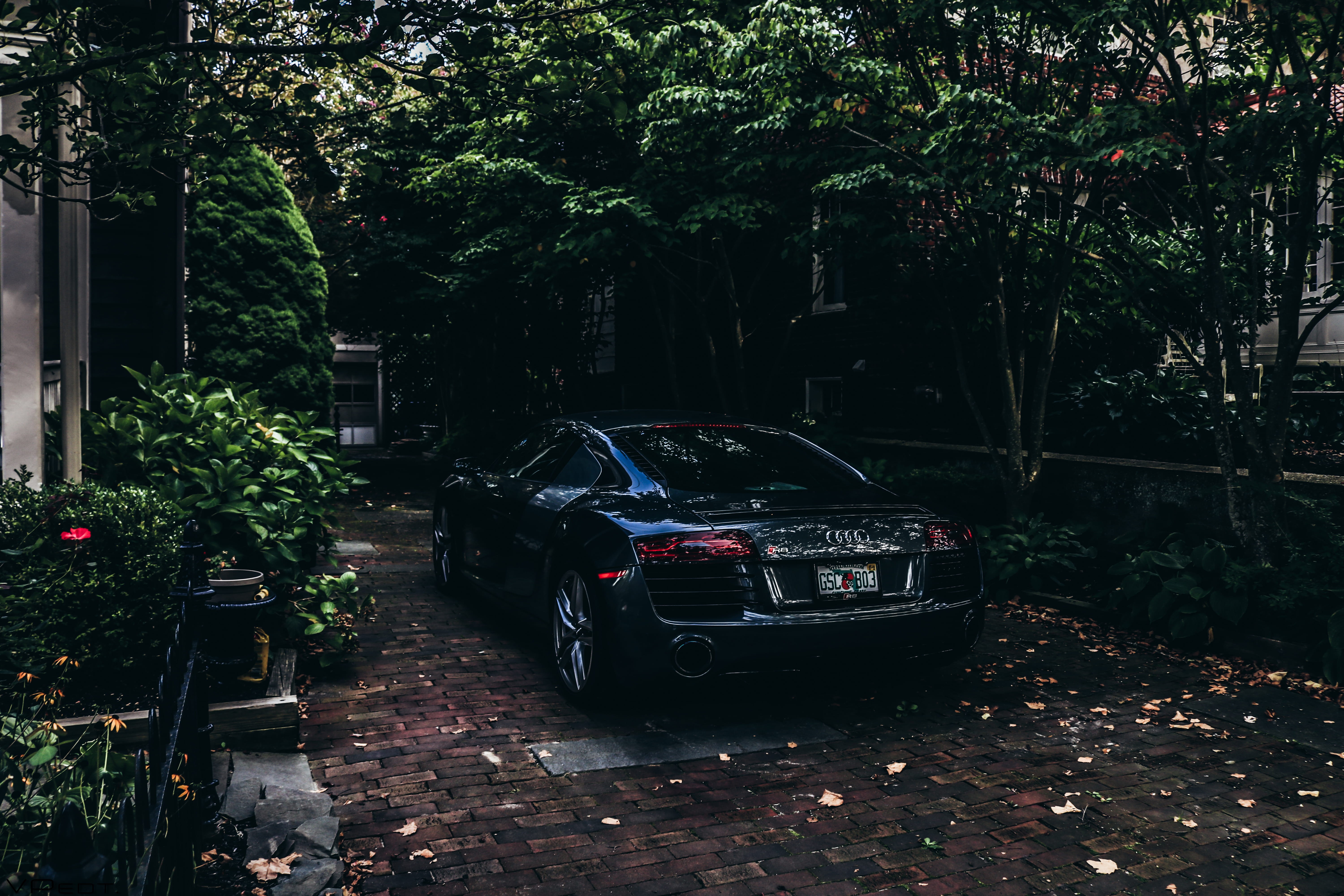 shiny, building exterior, pavement, audi, car, trees, stationary, wheels, transportation system, parked, motor vehicle, landscape, plant, city, mode of transportation, HD Wallpaper