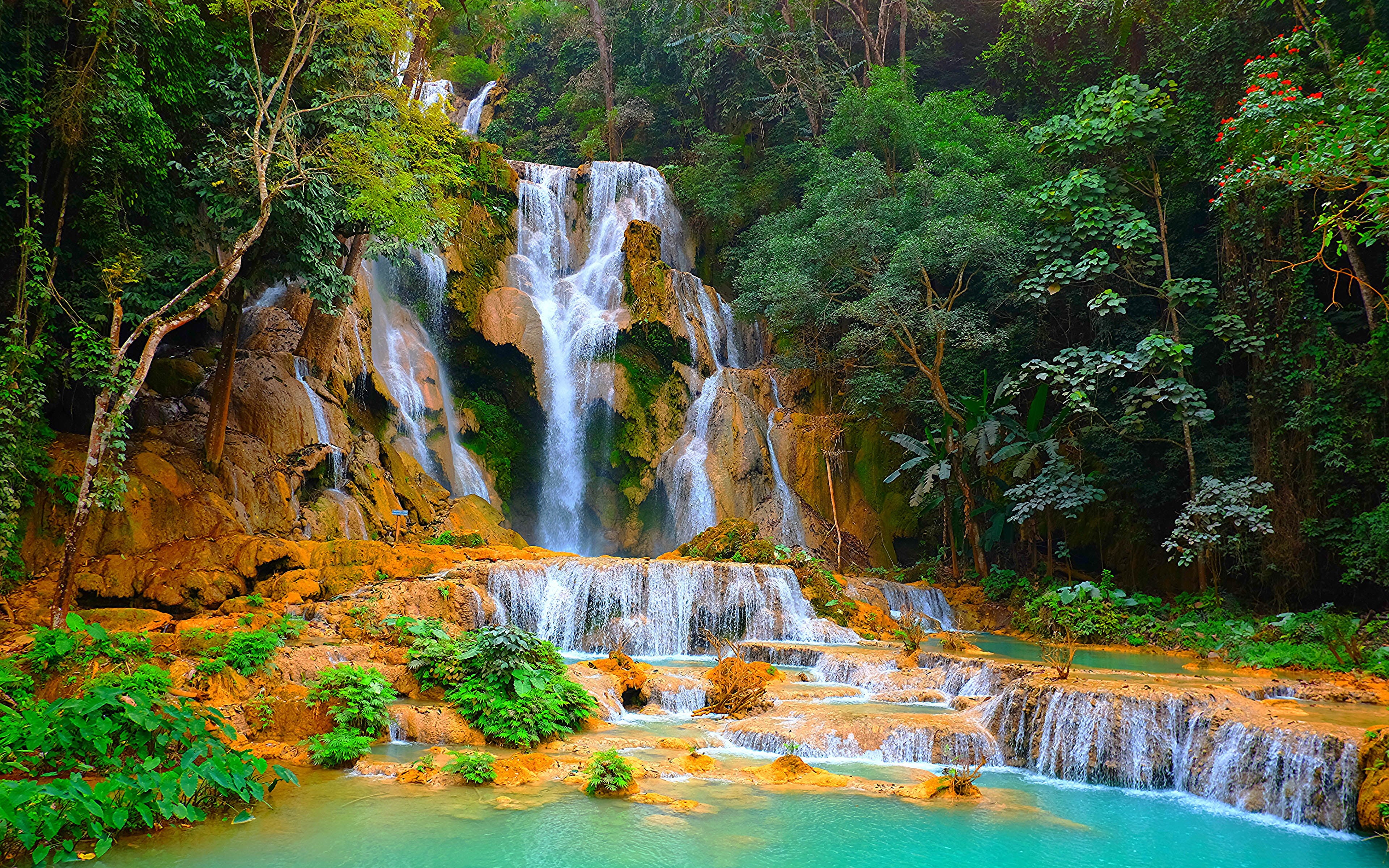 outdoors, beauty in nature, 4K, rock - object, si, waterfalls, ultra, power in nature, non-urban scene, nature, falling water, tree, water, HD Wallpaper