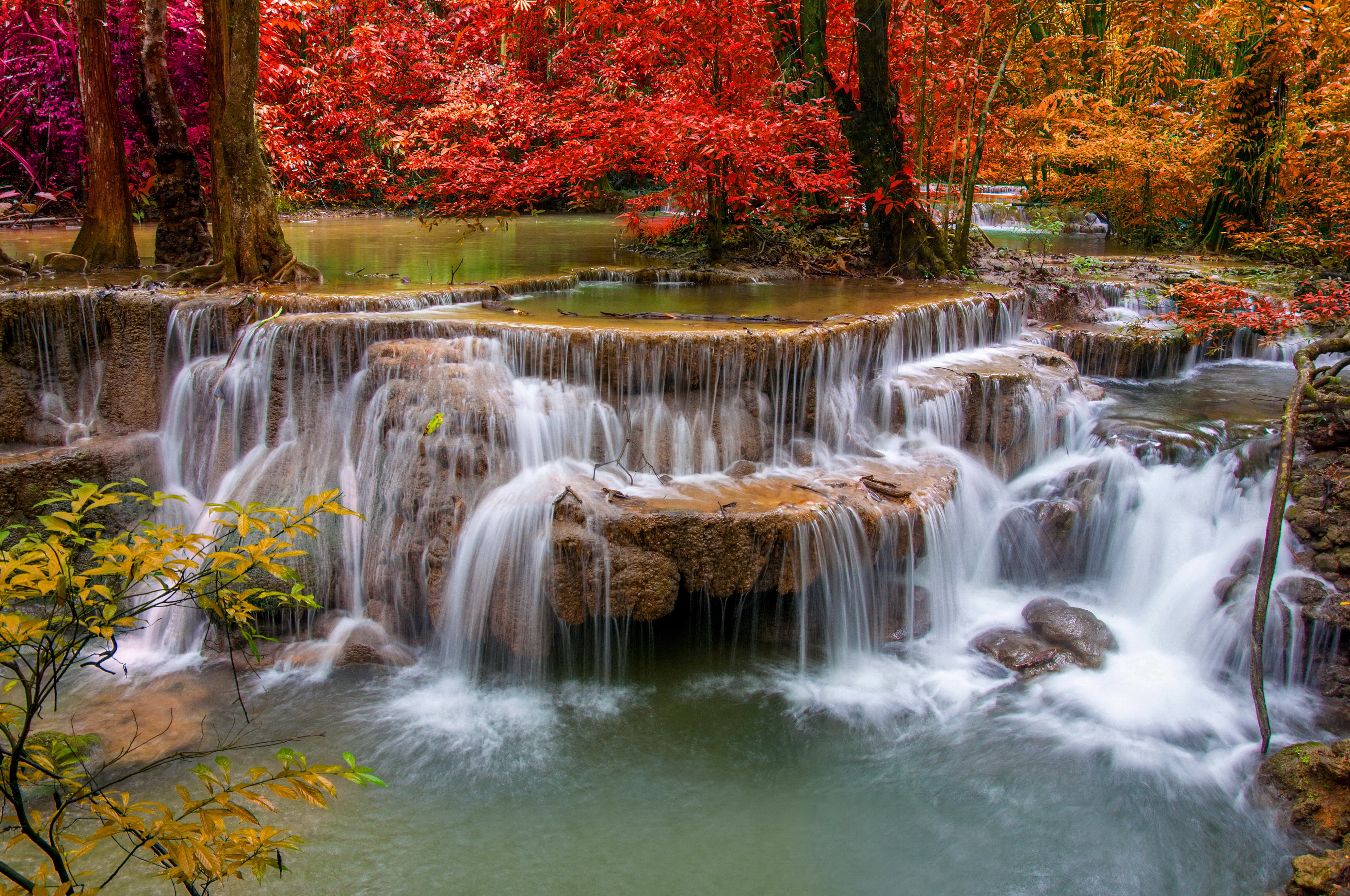 forest, waterfall, rocks, waterfalls, autumn, stream, rapids, 5K, HD Wallpaper