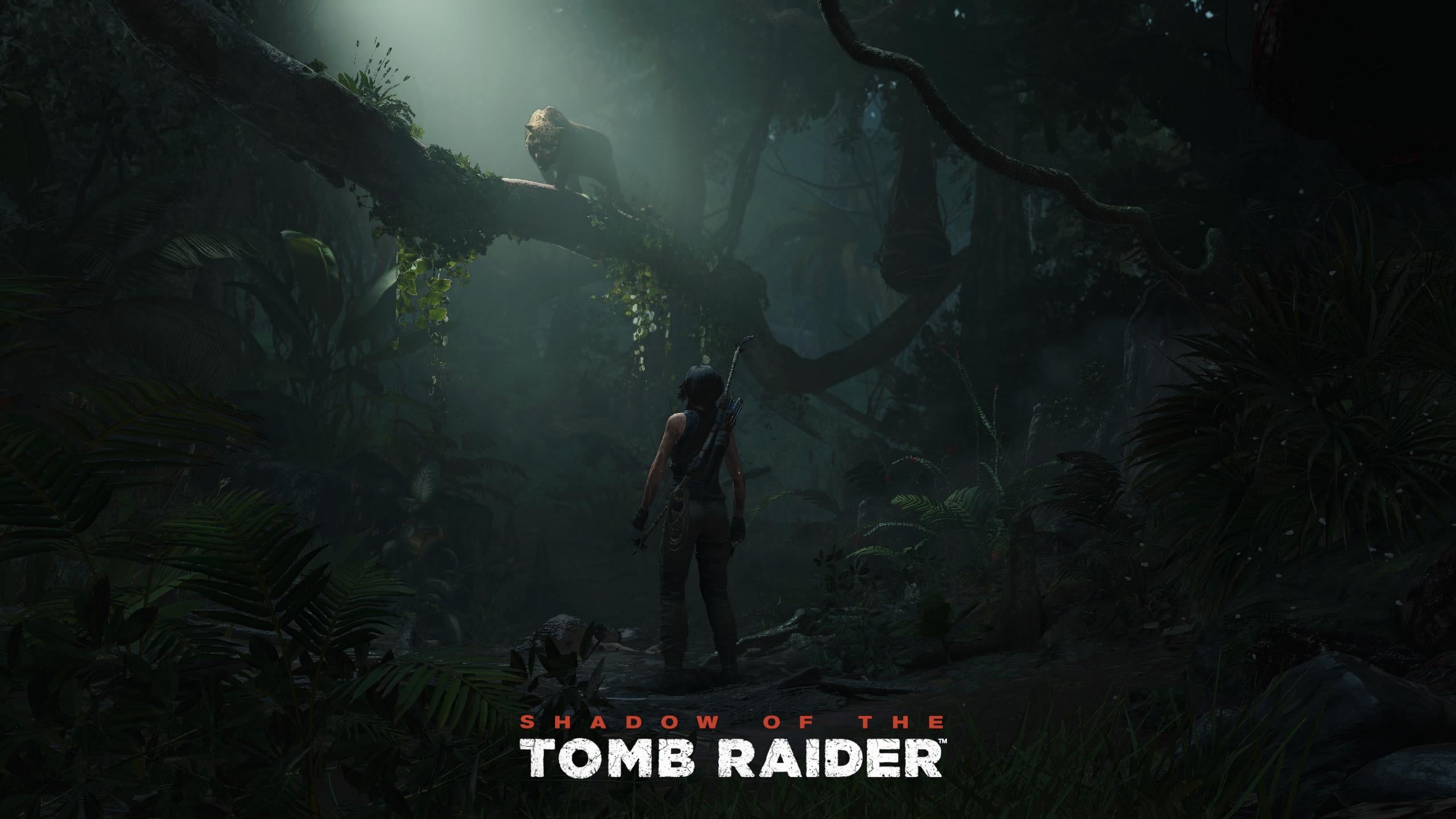 number, rainforest, nature, Shadow of the Tomb Raider, tropical climate, Lara Croft, tree, plant, Tomb Raider, 2K, day, western script, forest, land, video games, HD Wallpaper