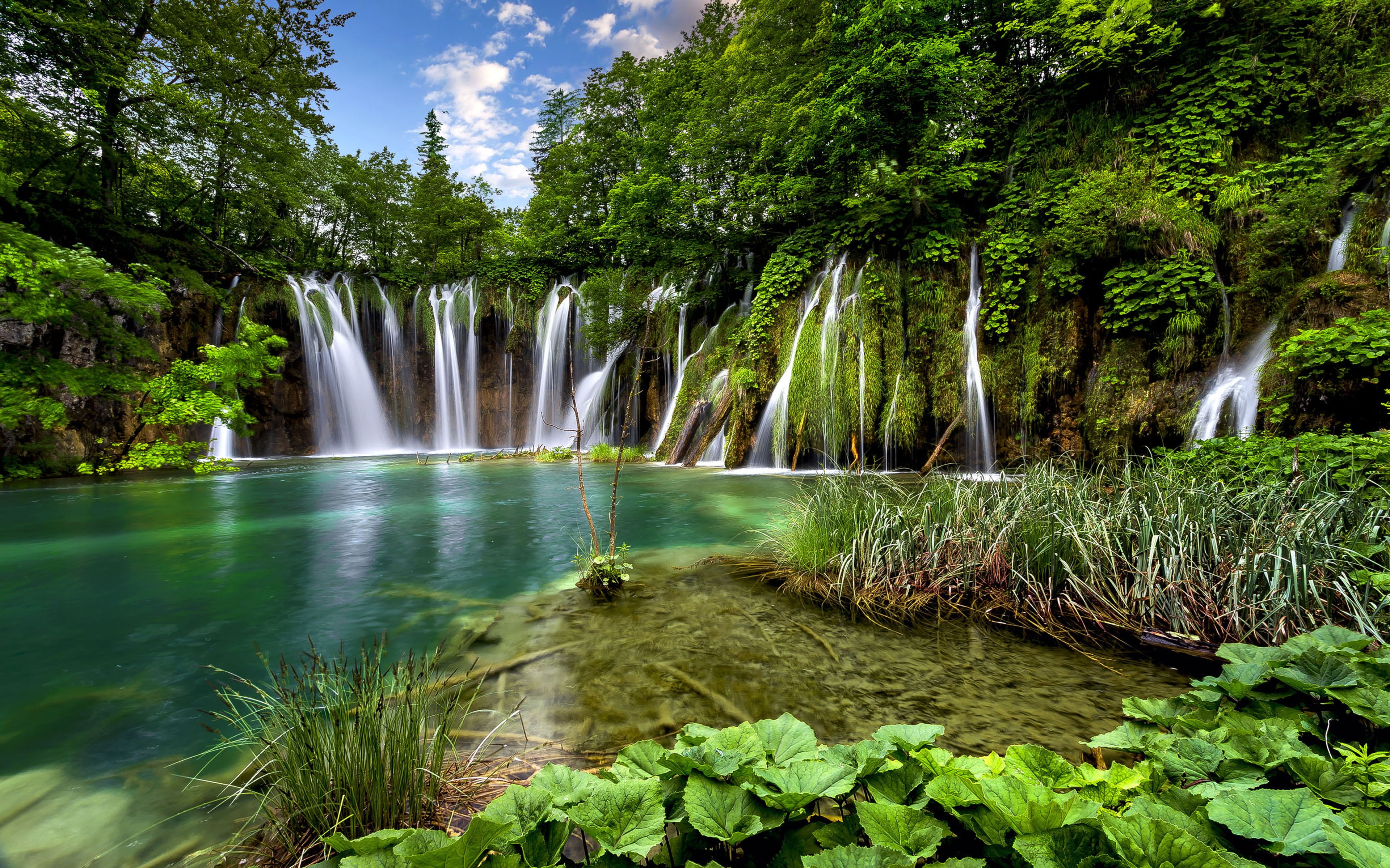 flowing, nature, outdoors, power in nature, growth, tranquil scene, falling water, photo, scenics - nature, land, idyllic, green color, national, tree, HD Wallpaper