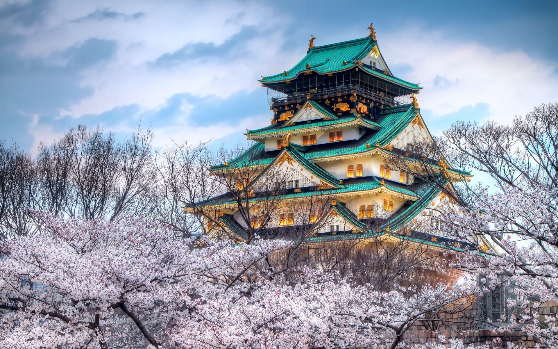 Temple, Blossom, Cherry, Season, 1080P, Japan, HD Wallpaper