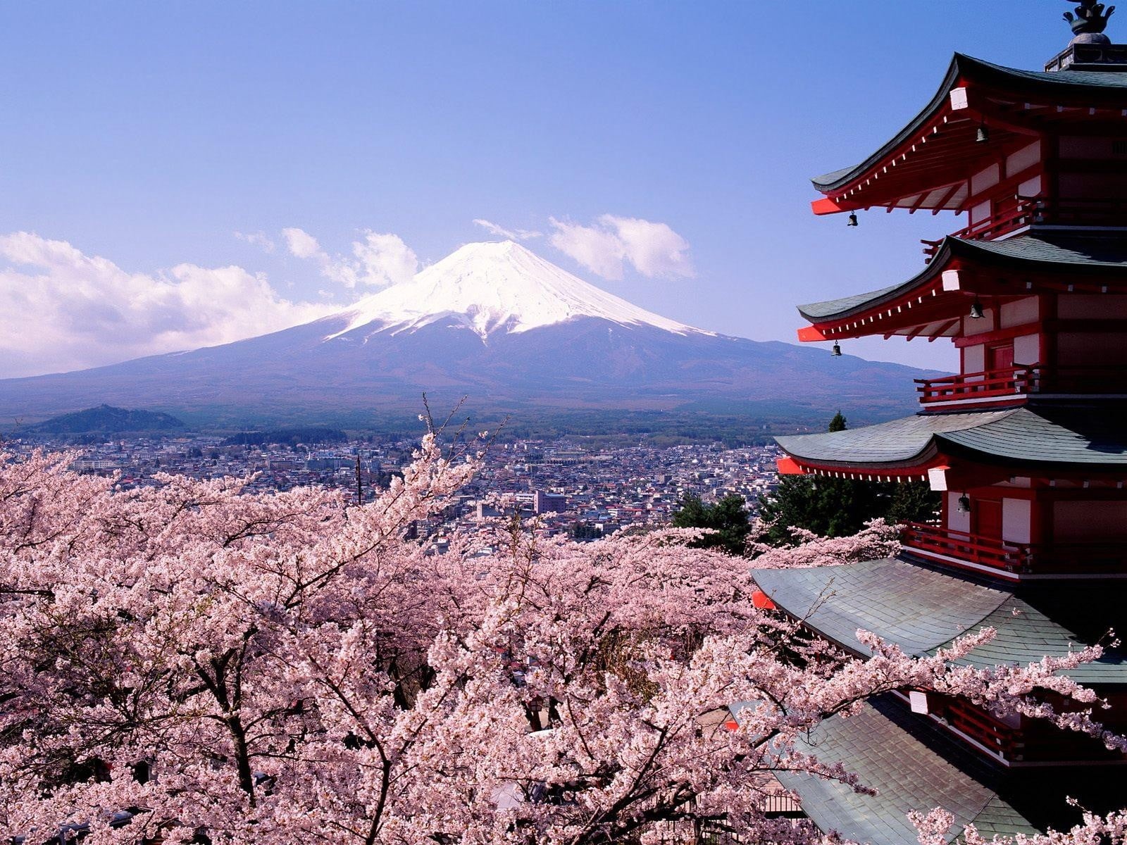 Asian architecture, Hirosaki Castle, building exterior, plant, travel destinations, building, nature, 720P, cloud - sky, gray, mountain, springtime, place of worship, HD Wallpaper