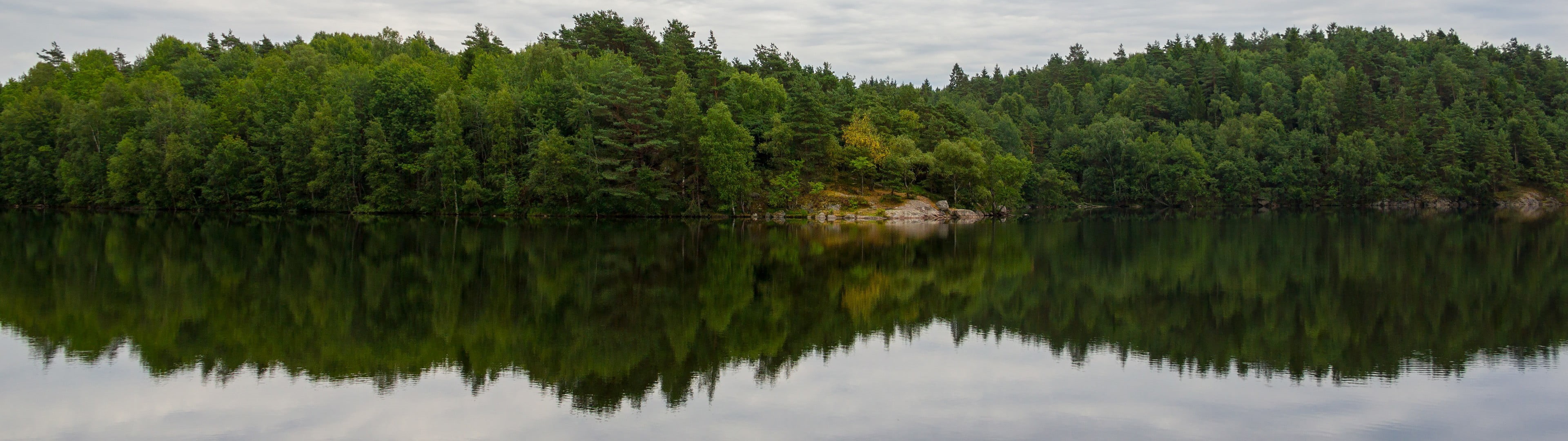 green, beauty in nature, landscape, plant, scenics - nature, coniferous tree, waterfront, tree, no people, water, lagoon, forest, multiple display, land, HD Wallpaper