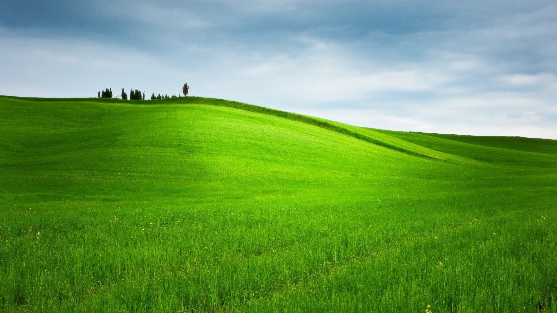 1080P, landscape, hill, nature, grass, trees, field, green, HD Wallpaper