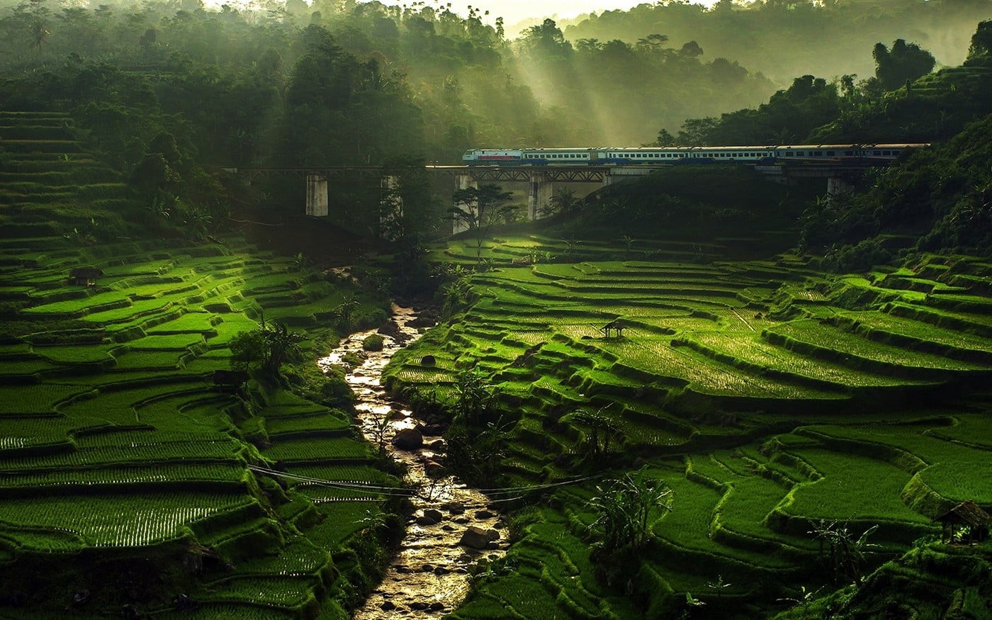 environment, sun rays, river, agriculture, plantation, water, tree, land, nature, no people, train, terrace, growth, scenics - nature, rural scene, tranquil scene, HD Wallpaper