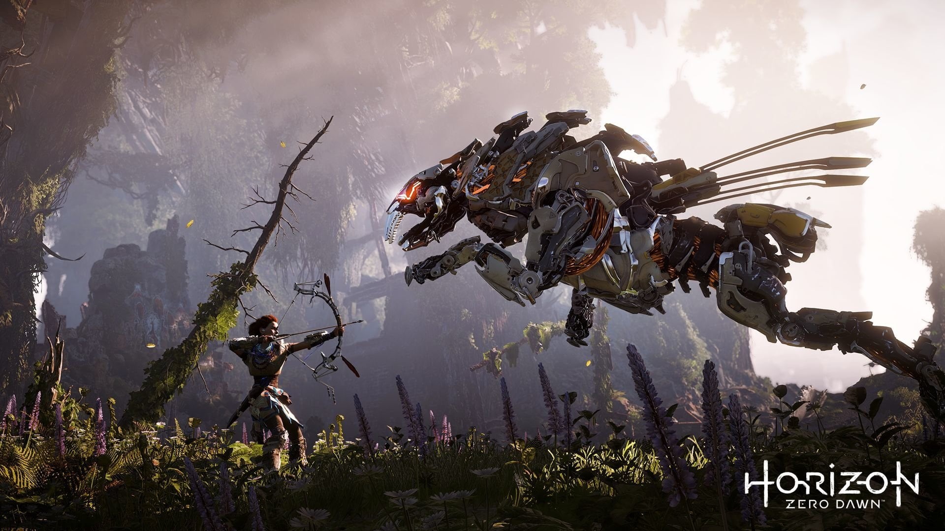 water, adventure, sea, day, communication, dawn, zero, motion, Horizon Zero Dawn, photography themes, group of people, real people, plant, 1080P, HD Wallpaper
