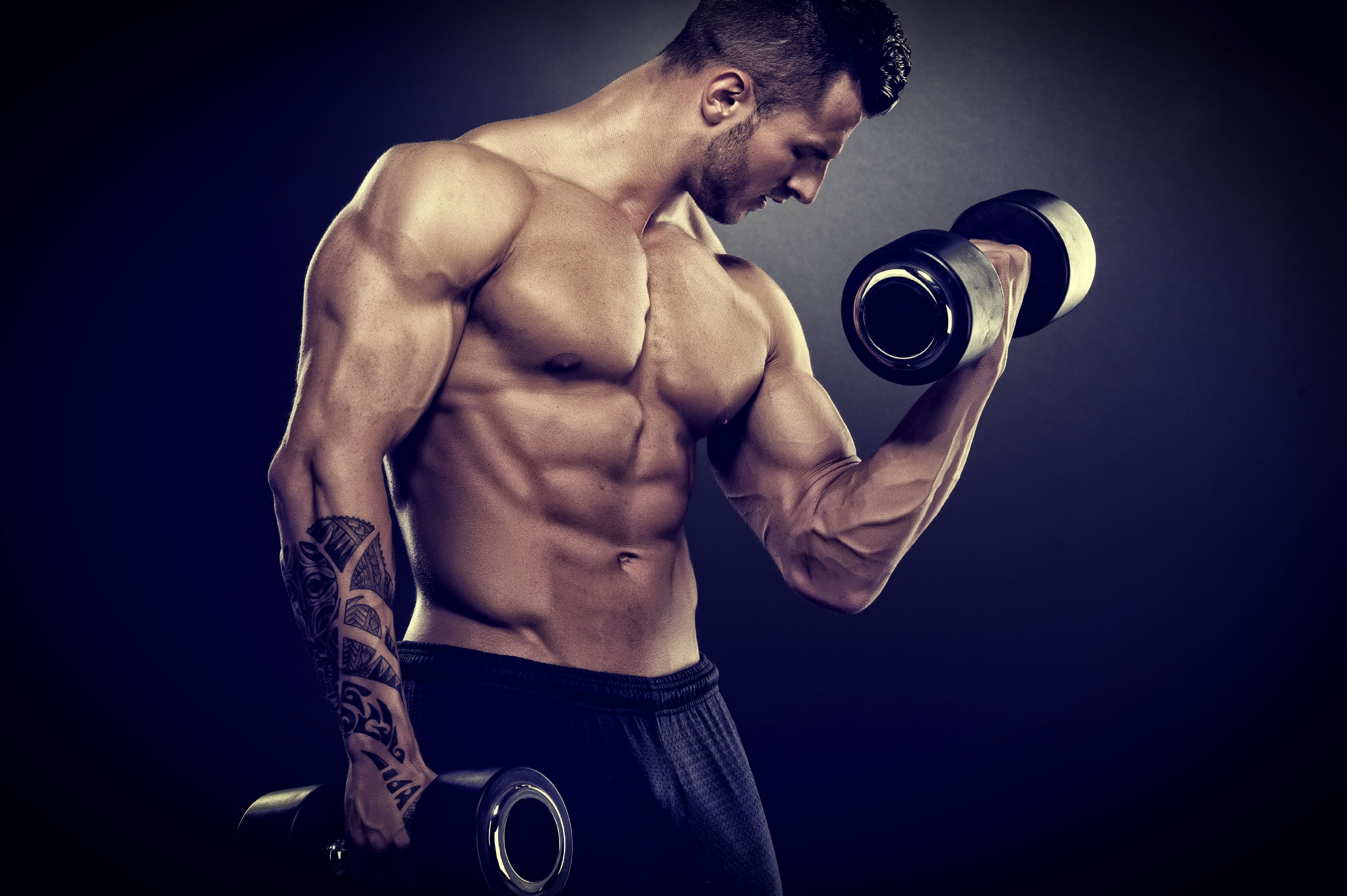 abdominal muscle, vitality, weight, weights, 2K, exercise equipment, muscle, dumbbell, sports training, shirtless, dumbbells, sport, body part, men, human body part, HD Wallpaper