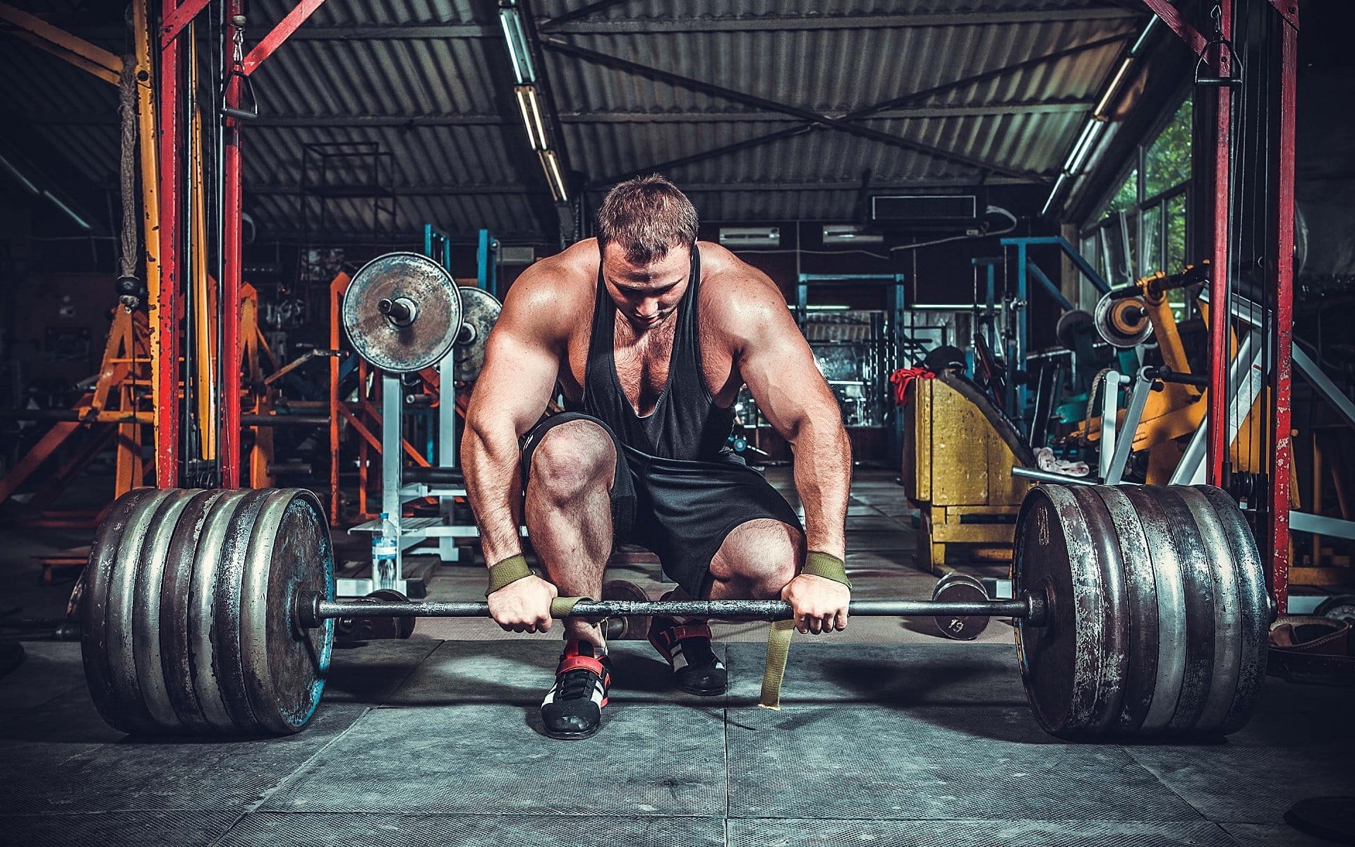 weightlifting, power, healthy Lifestyle, dumbbell, bicep, weight Training, males, activity, top, indoors, strength, barbell, relaxation Exercise, human Muscle, HD Wallpaper
