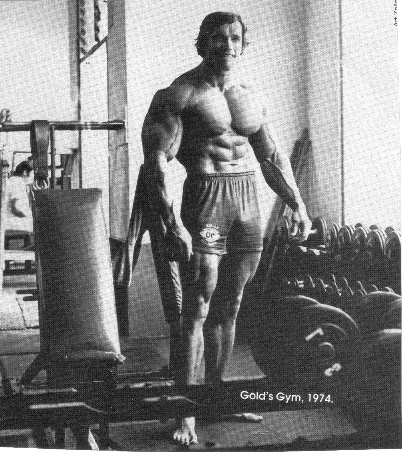 architecture, sports Training, Arnold Schwarzenegger, lifestyles, wellbeing, men, young adult, arnold, athlete, shirtless, males, muscular Build, Bodybuilder, Phone HD Wallpaper