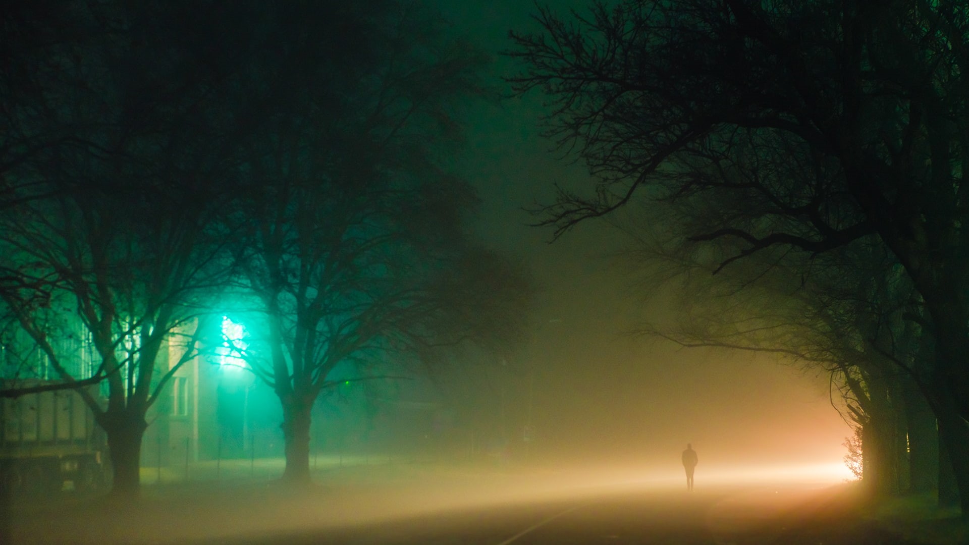 night, unrecognizable person, 1080P, plant, silhouette, long exposure, land, one person, tranquil scene, beauty in nature, street light, outdoors, street, HD Wallpaper