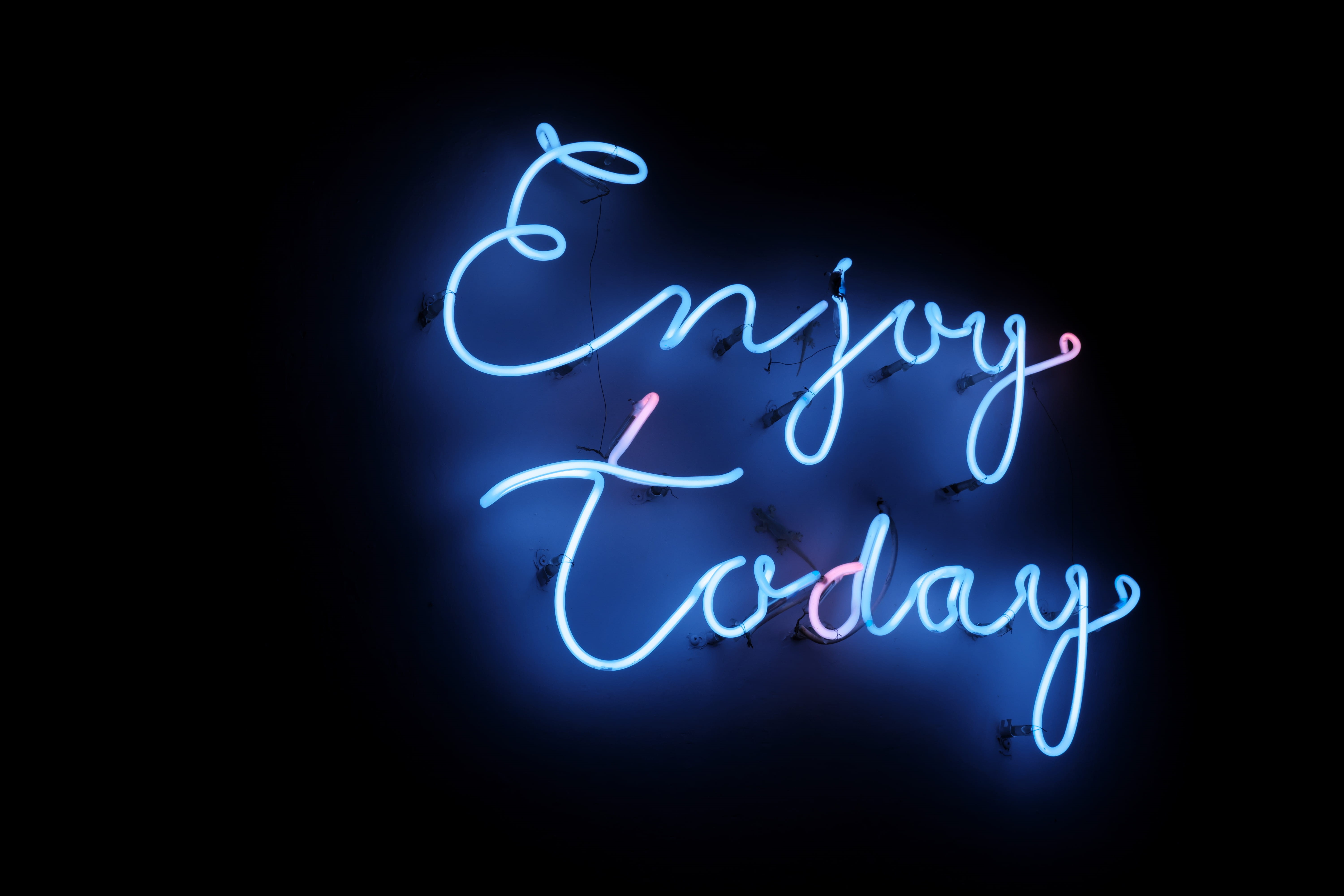 sign, single word, bright, studio shot, close-up, turned, graphic, design, art, western script, enjoy today, food and drink, neon art, creativity, neon colored, HD Wallpaper