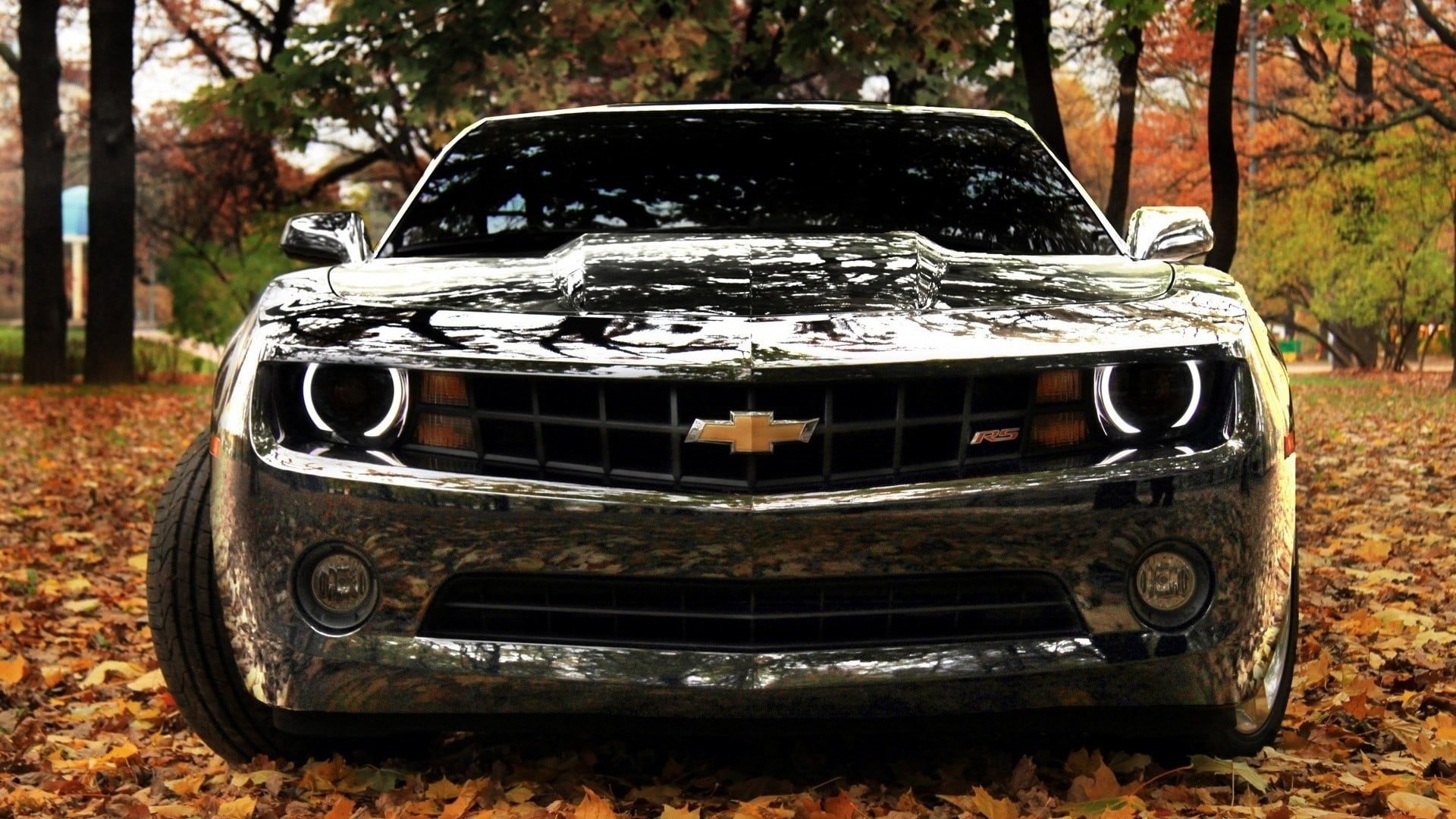 tree, focus on foreground, mode of transportation, retro styled, Camaro, land, transportation, Chevrolet, metal, black, car, plant, headlight, no people, HD Wallpaper