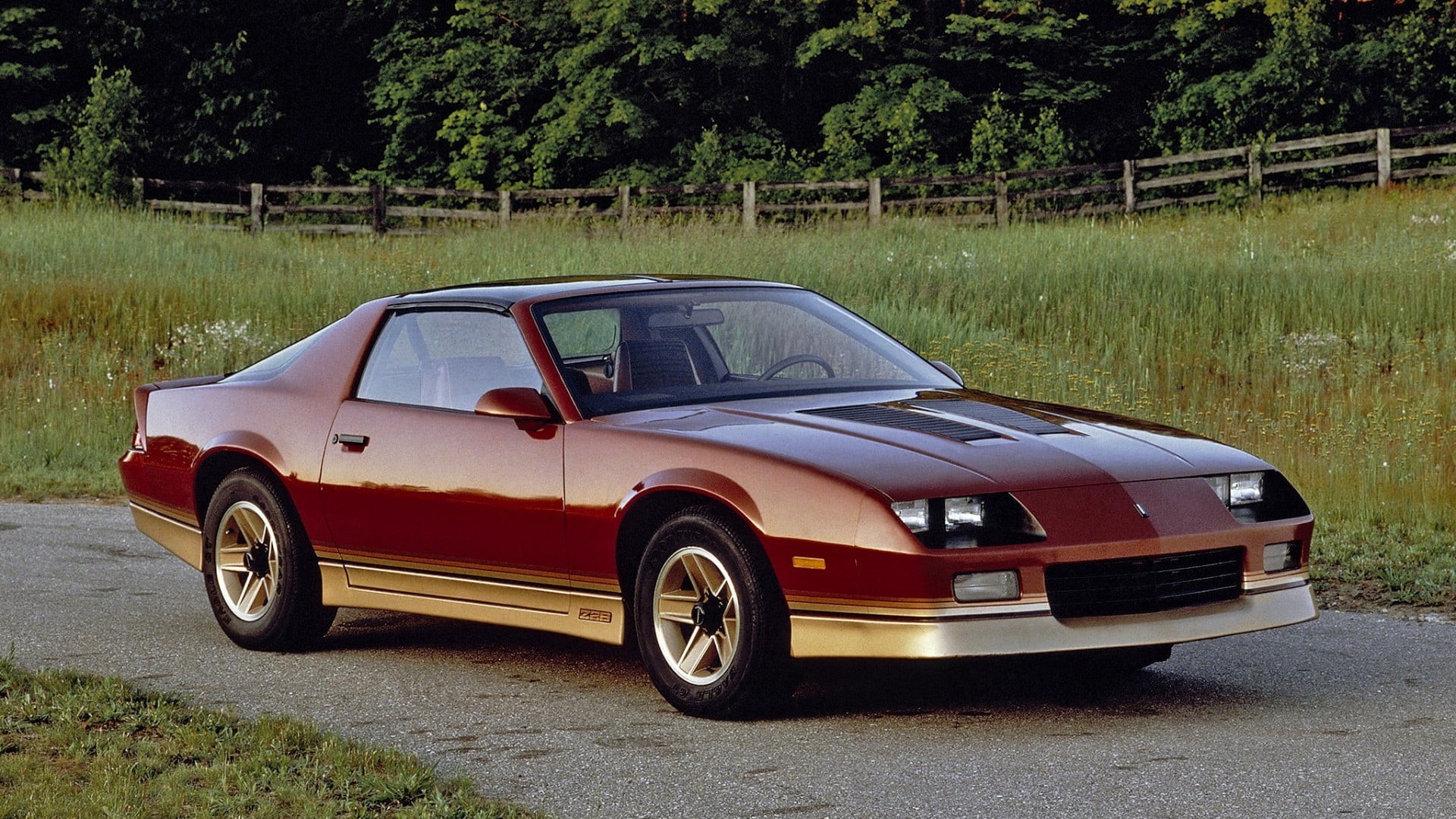 growth, grass, transportation, tree, red, no people, stationary, vintage car, mode of transportation, Camaro, plant, 1080P, day, Chevrolet Camaro Z28, HD Wallpaper