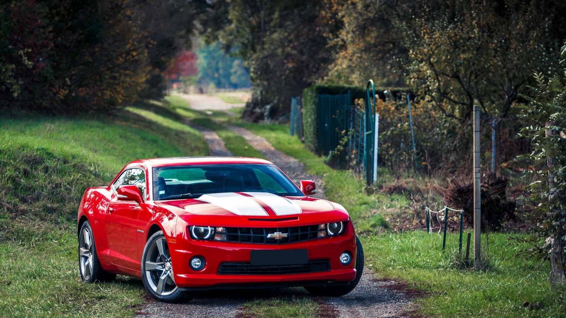 vintage car, nature, plant, mode of transportation, land, Chevrolet, forest, car, stationary, growth, motor vehicle, grass, Camaro, Chevrolet Camaro, day, HD Wallpaper
