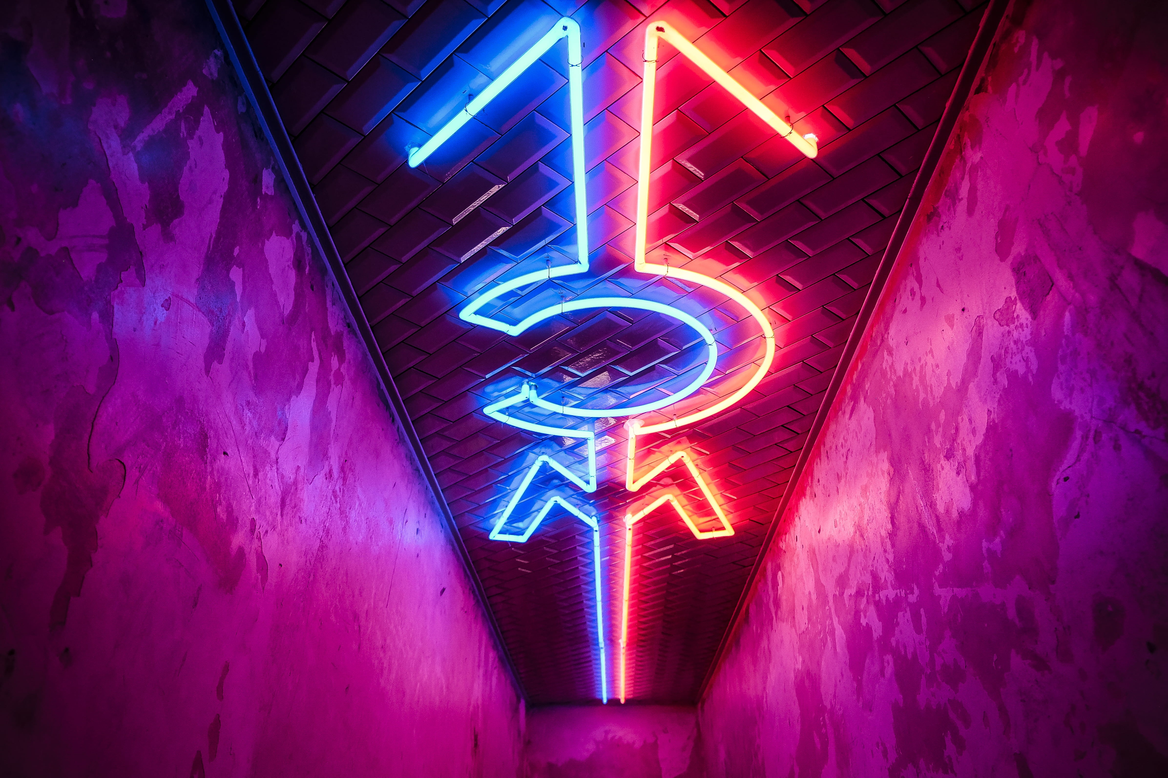 color, bright, communication, no people, toilet, purple, multi colored, night, indoors, wc, glowing, ottosburger, light - natural phenomenon, red, lighting equipment, HD Wallpaper